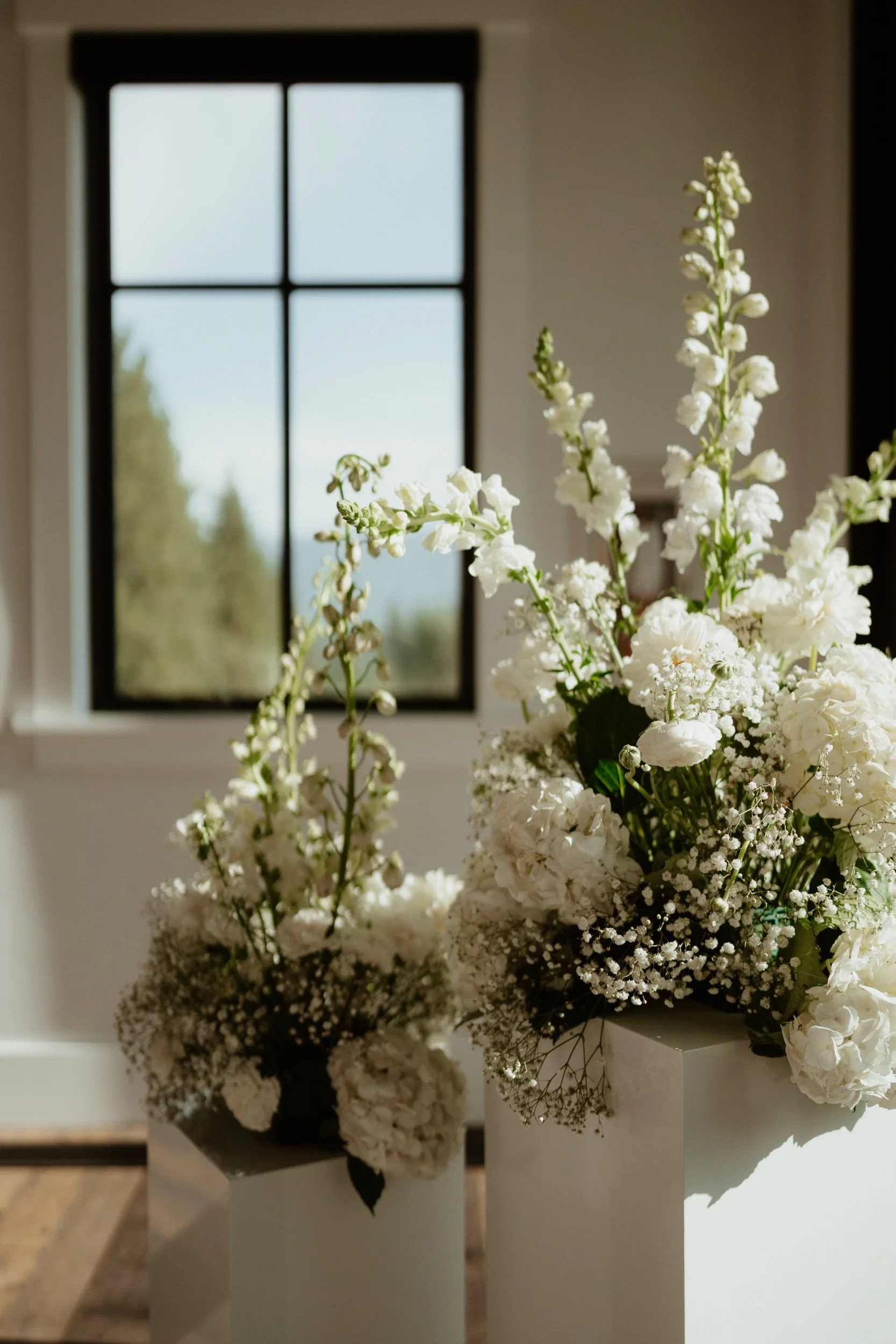 Two vases with white flowers on white pedestals in a room with a large window showing trees outside.
