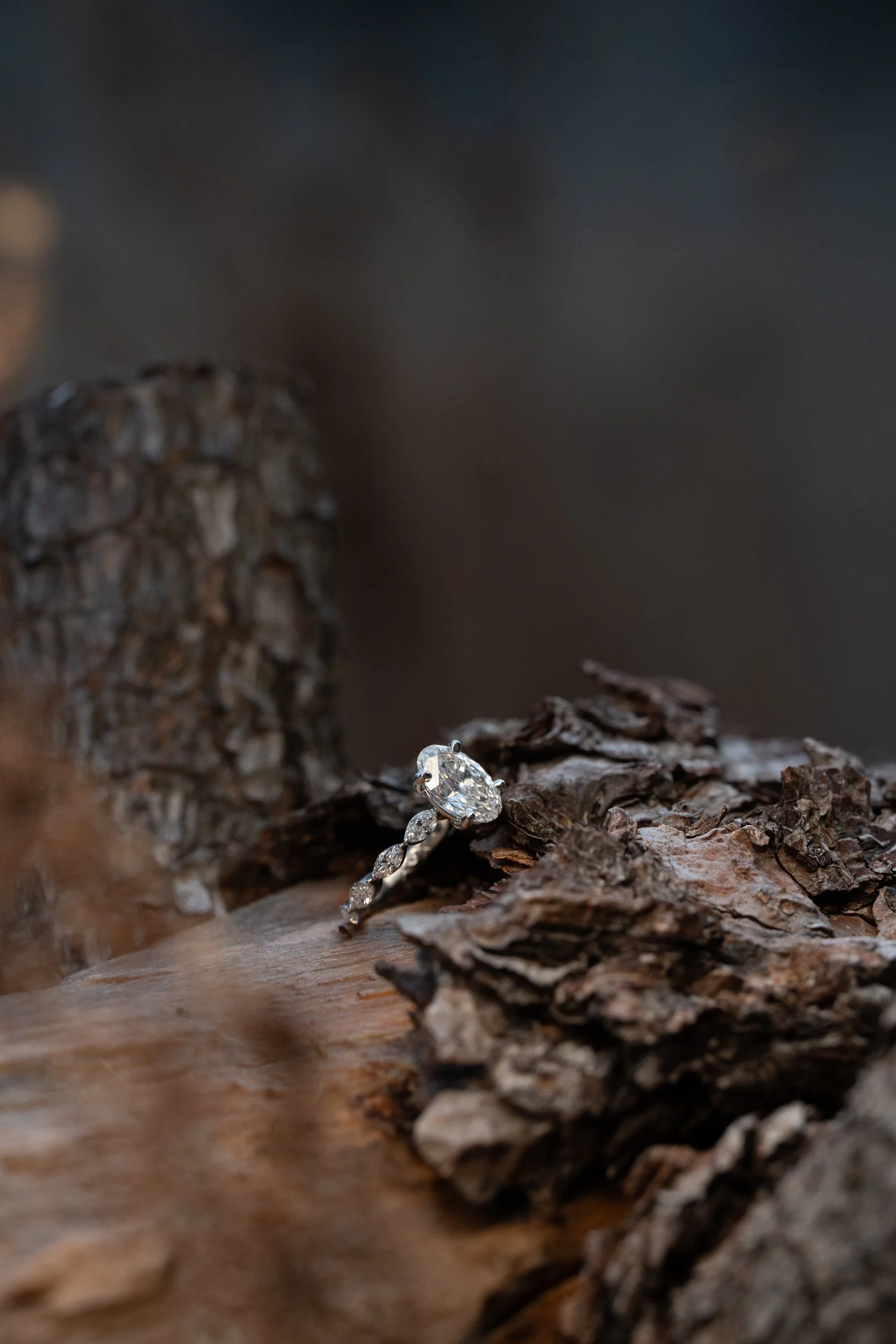 Close-up of a diamond engagement ring resting on tree bark.