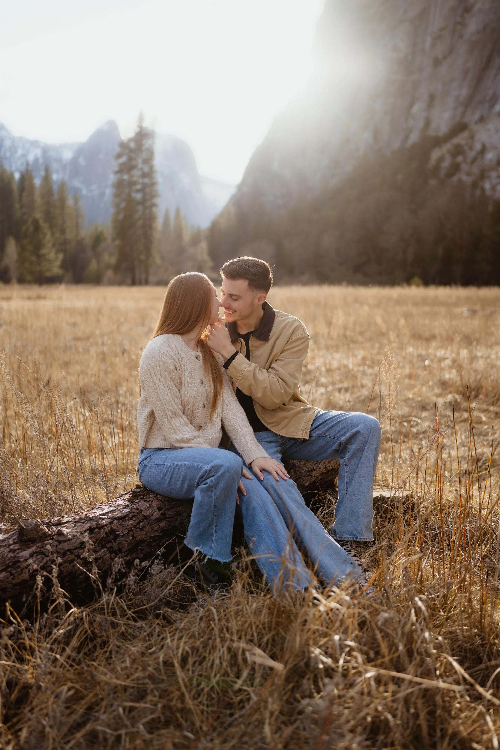 A young couple sitting on a fallen tree in a grassy field, sharing a loving moment while smiling at each other, with mountains and trees in the background.