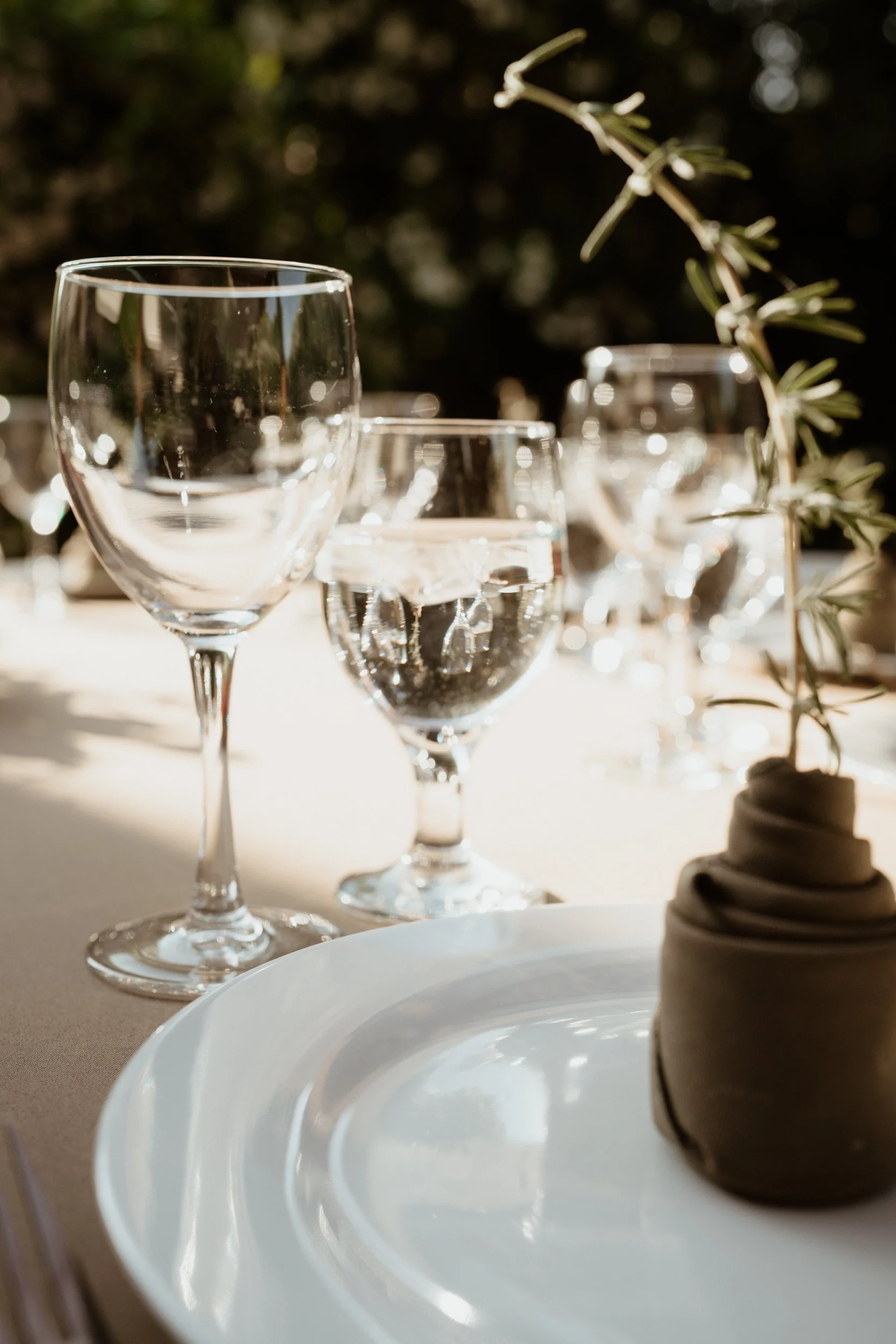 Elegant outdoor dining table set with three wine glasses, a plate, and a decorative plant, illuminated by sunlight.