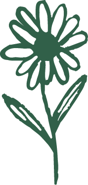 Simple line drawing of a flower with multiple petals, a stem, and two leaves.