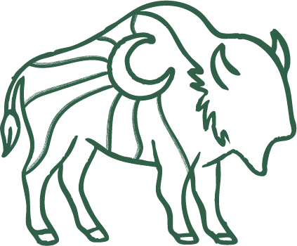 Line drawing of a buffalo with a large hump and curved horns.