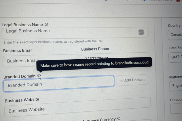 A computer screen showing a form to register a business, with a pop-up message reminding to have a CNAME record pointing to brand.lucidquicks.cloud.