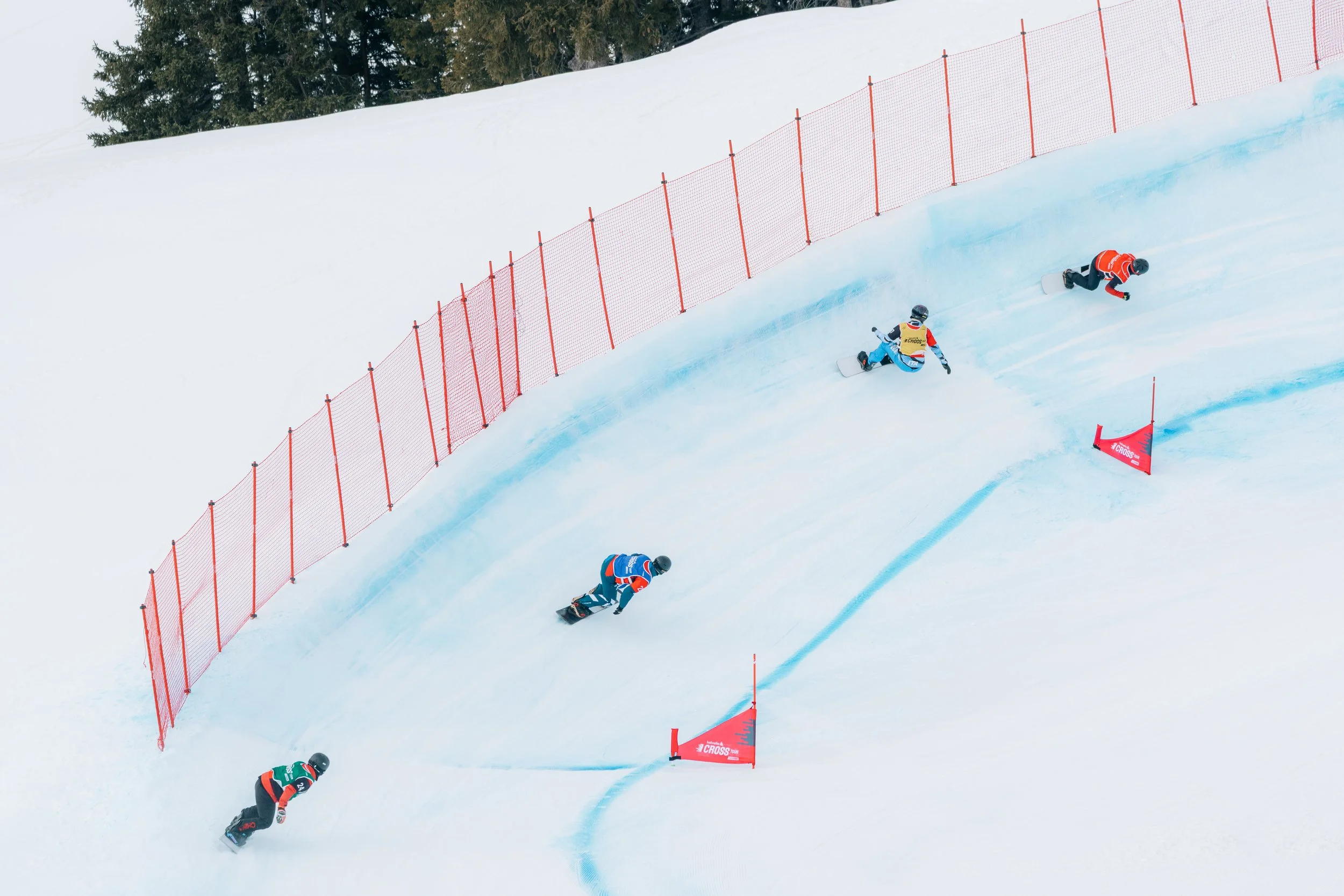 26.01.22_Lenk_Alexandra Blum3545.jpg