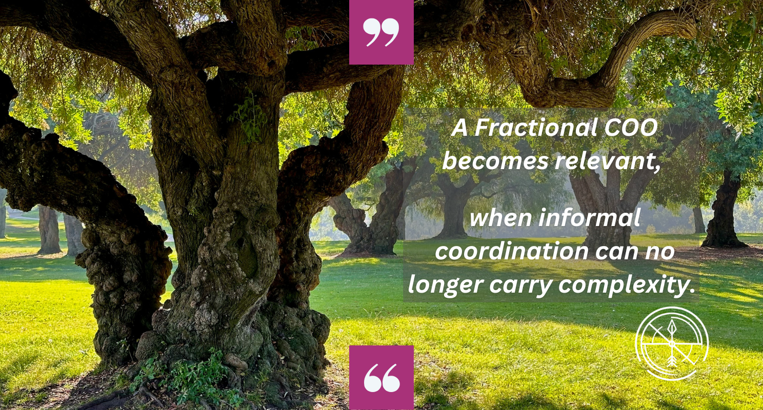 When Established Professional Services Firms Need a Fractional COO