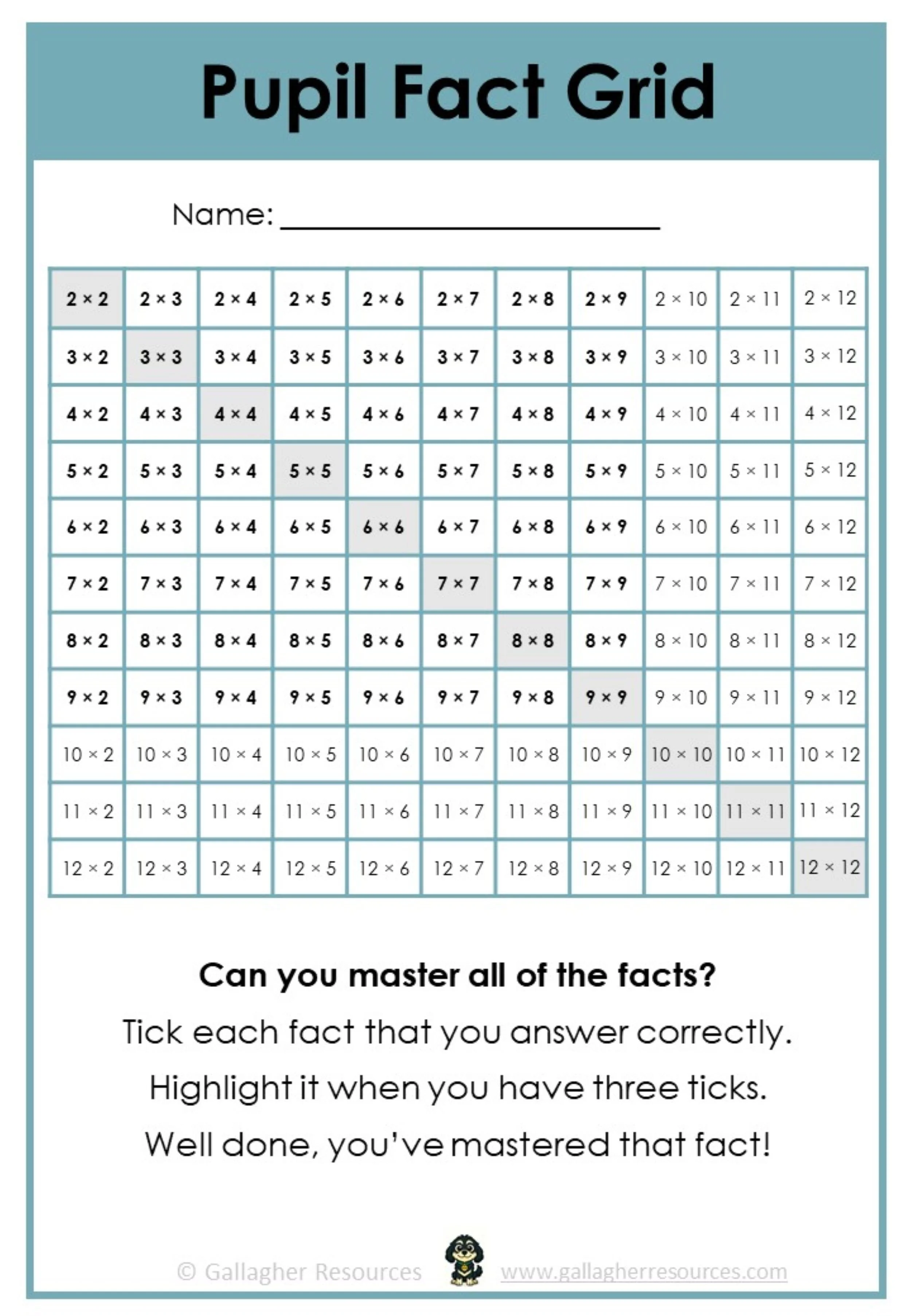 Pupil Fact Grid.jpg