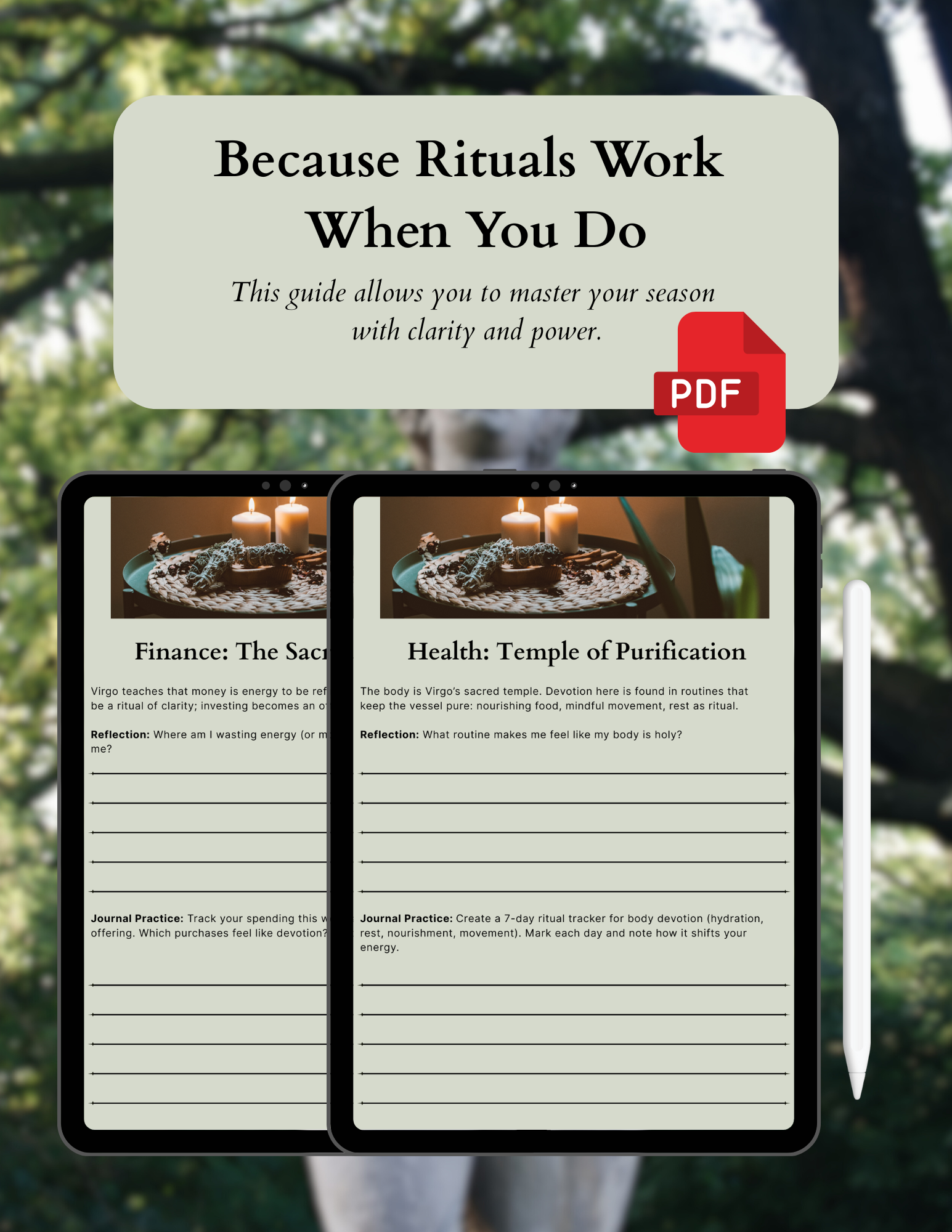 Virgo Devotion 3rd.png