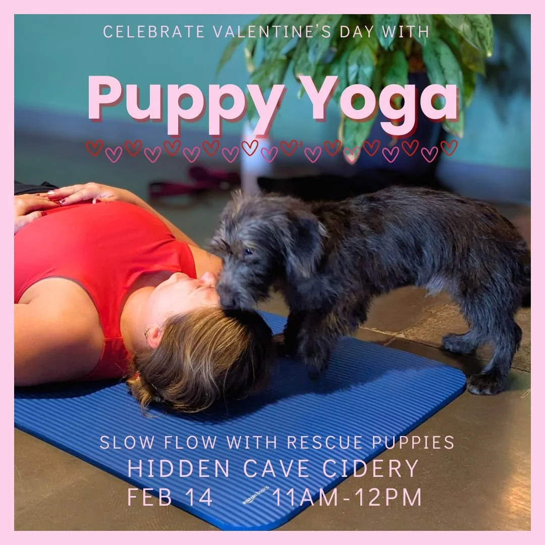Puppy Yoga