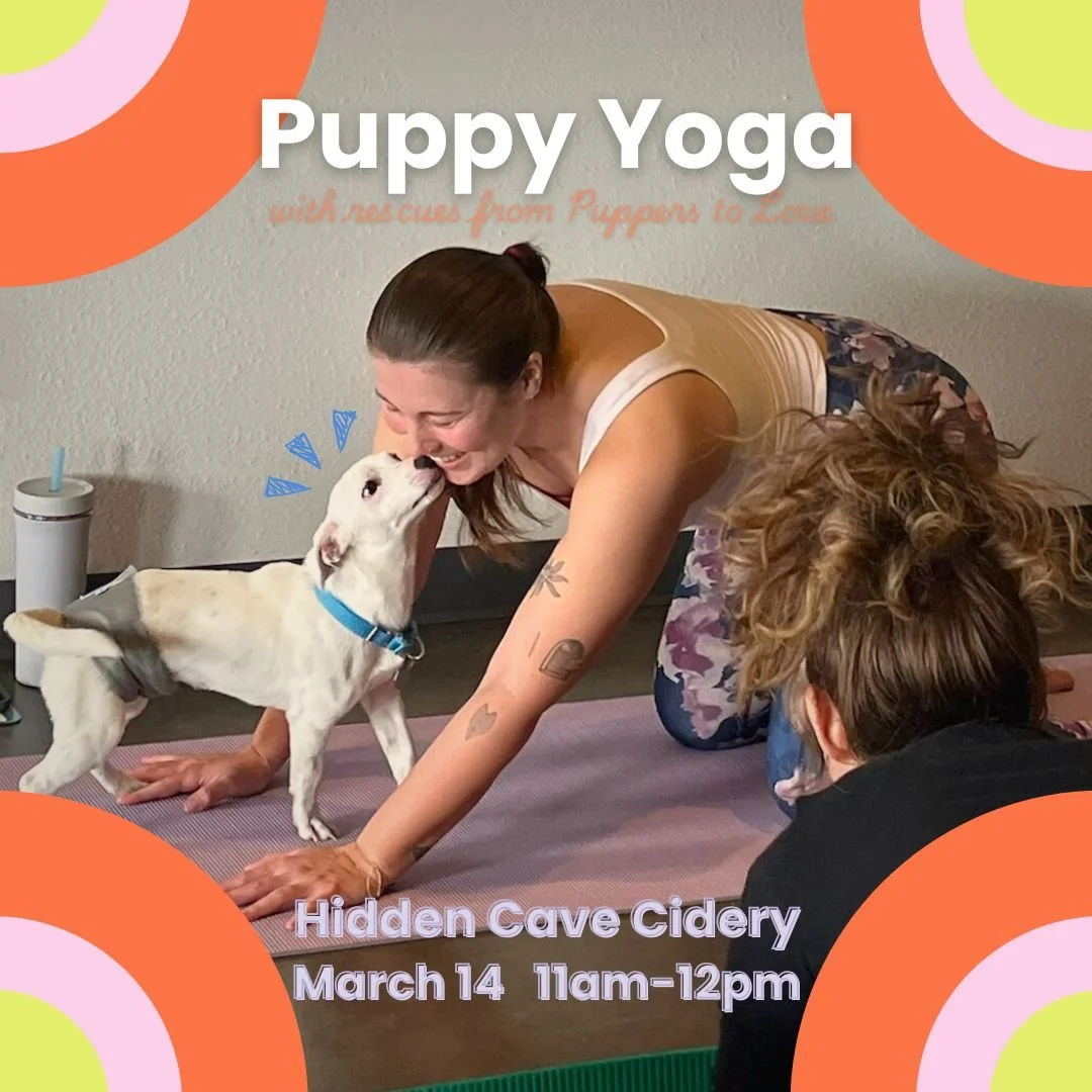 Puppy Yoga