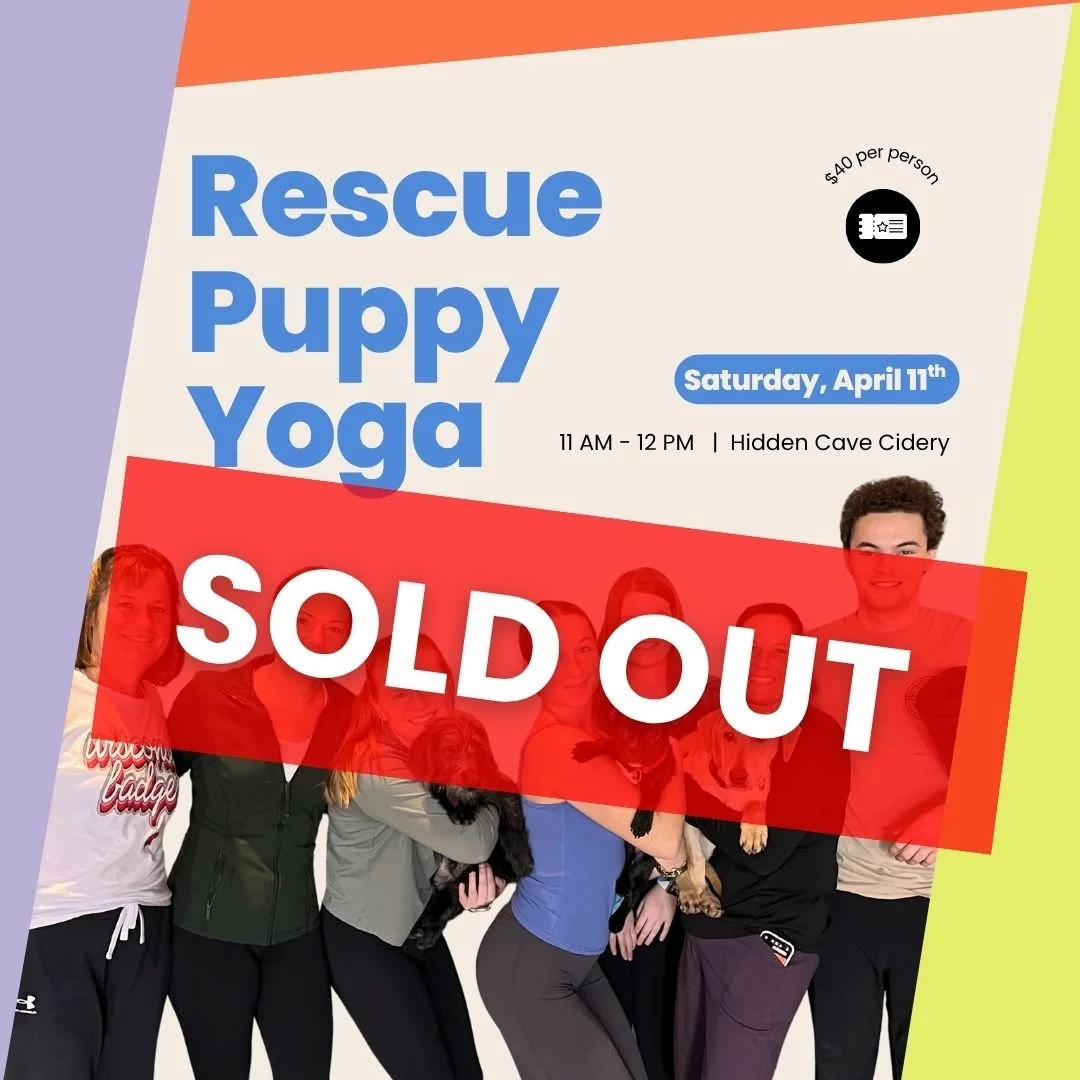 Rescue Puppy Yoga