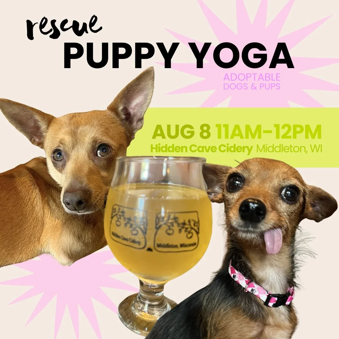 Rescue Puppy Yoga