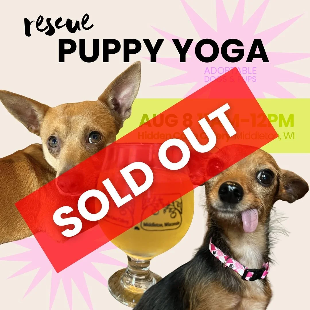 Rescue Puppy Yoga