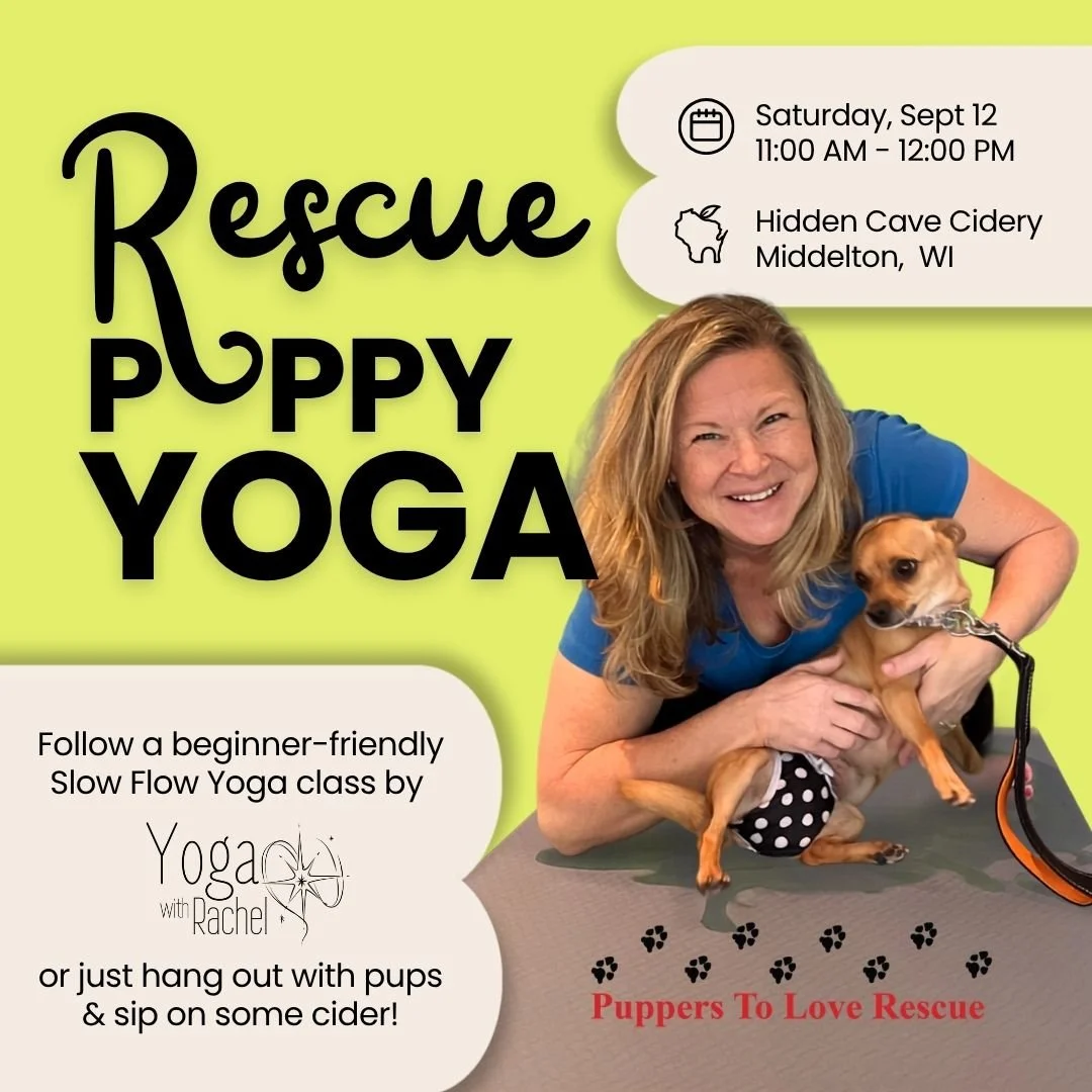 Rescue Puppy Yoga