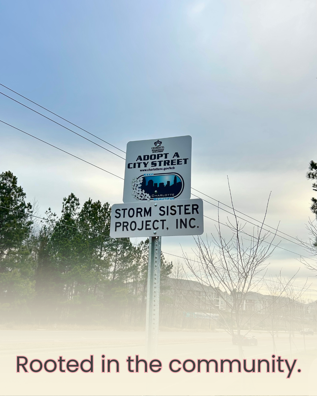 The Story Behind Our Adopted Streets in North Charlotte