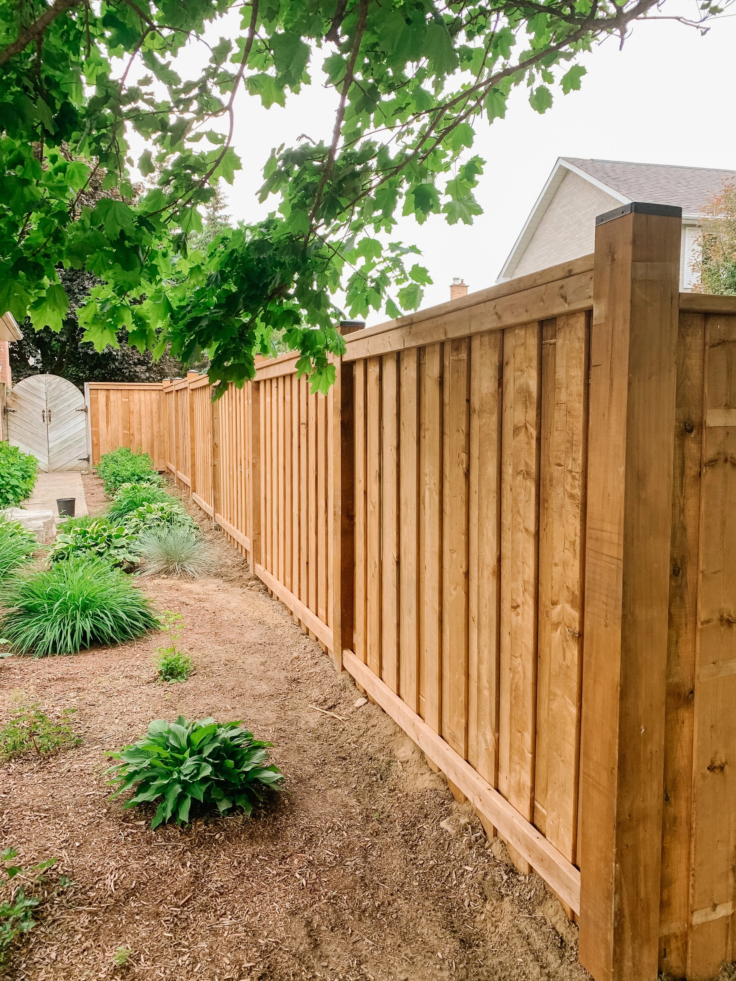 New wooden privacy fence along a garden with green plants and a dirt pathway under a leafy tree.