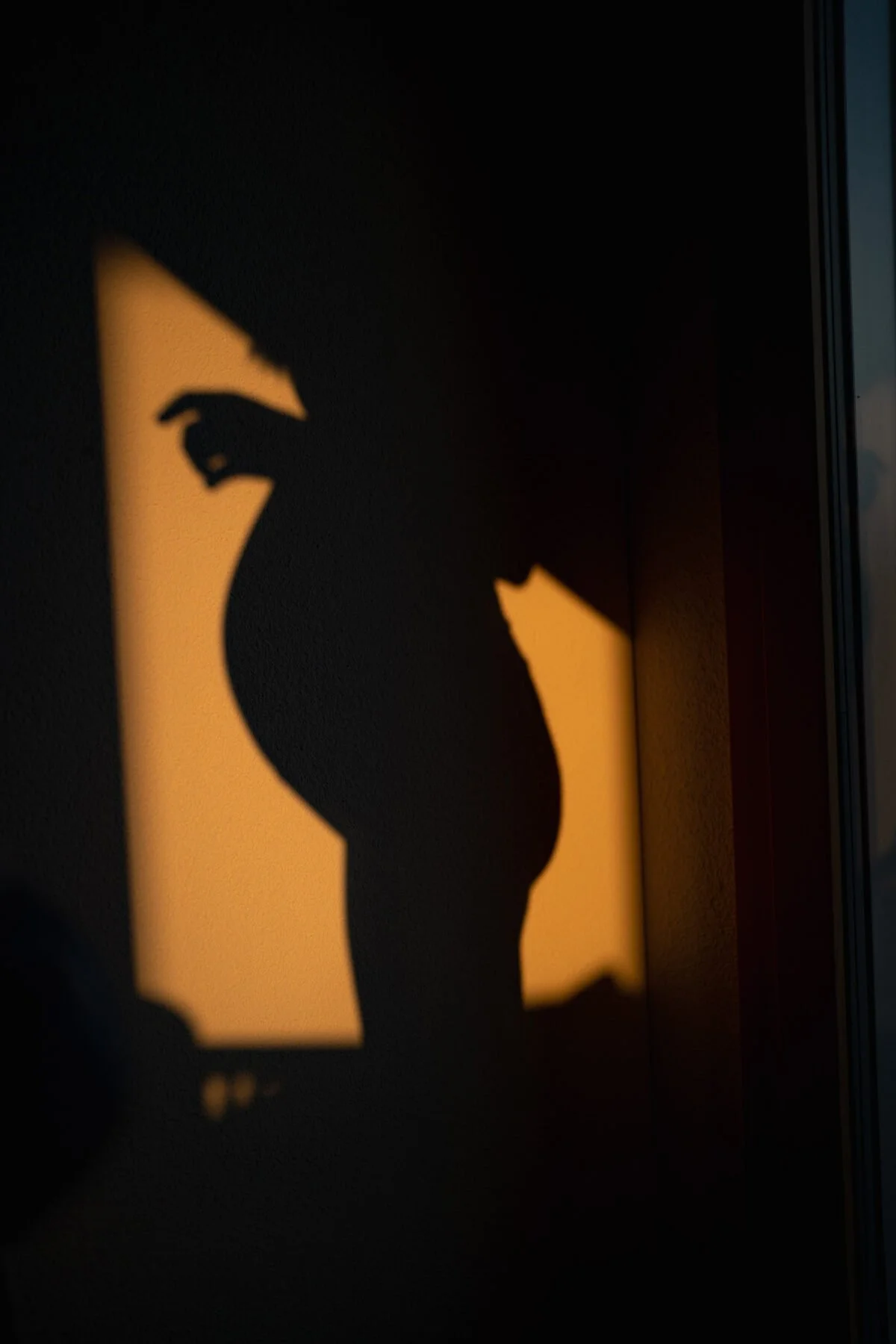 Eine schwangere Frau in einem grünen Kleid, die leicht nach rechts schaut, vor einem neutralen Hintergrund.