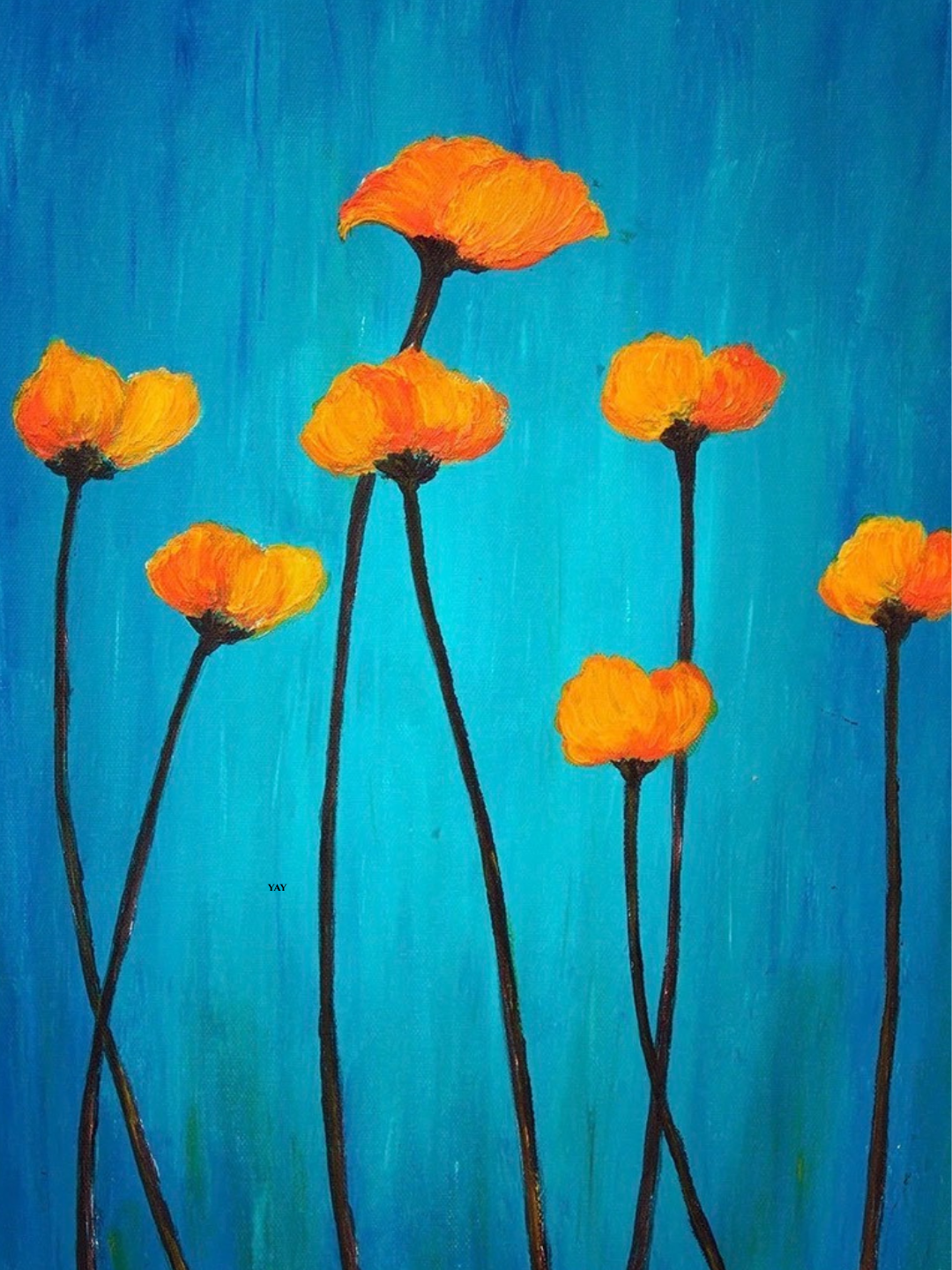 Arizona Desert Flower in April