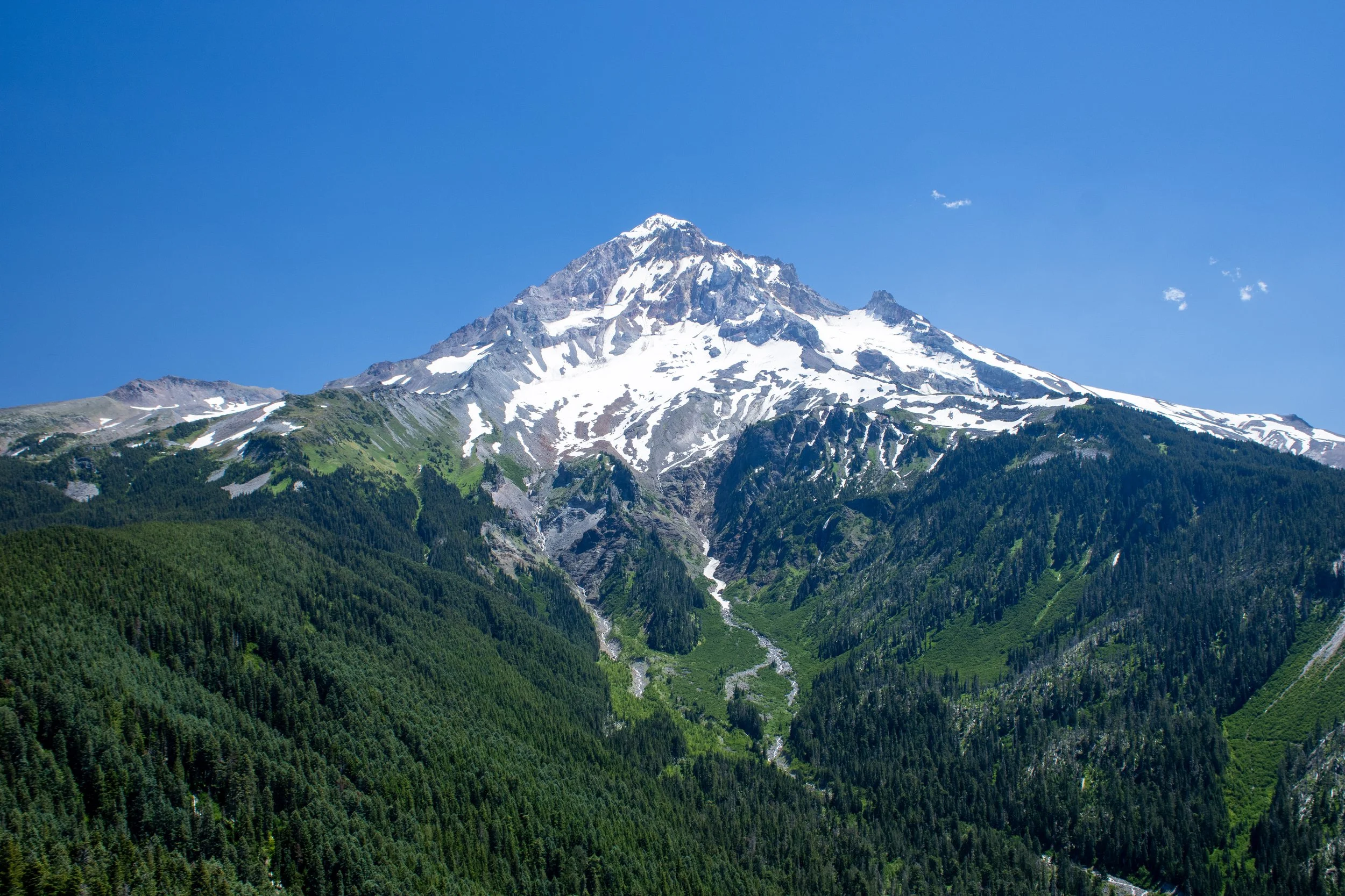 Snow-capped mountain surrounded by green forests and a clear blue sky.