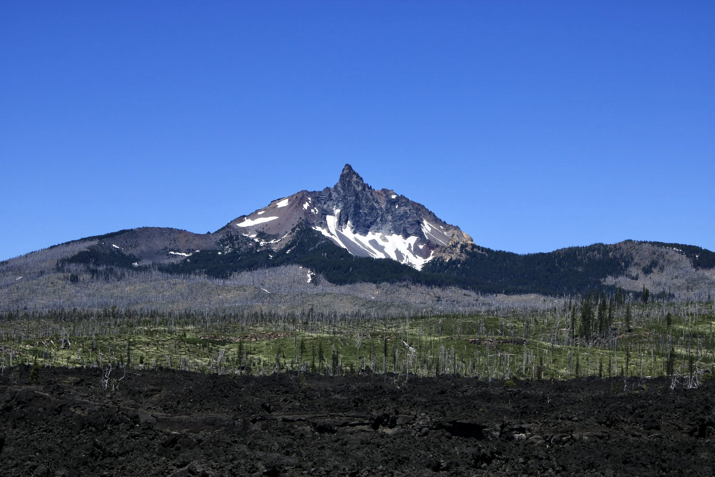 A snow-capped mountain with a pointed peak, green forested slopes, and a clear blue sky.