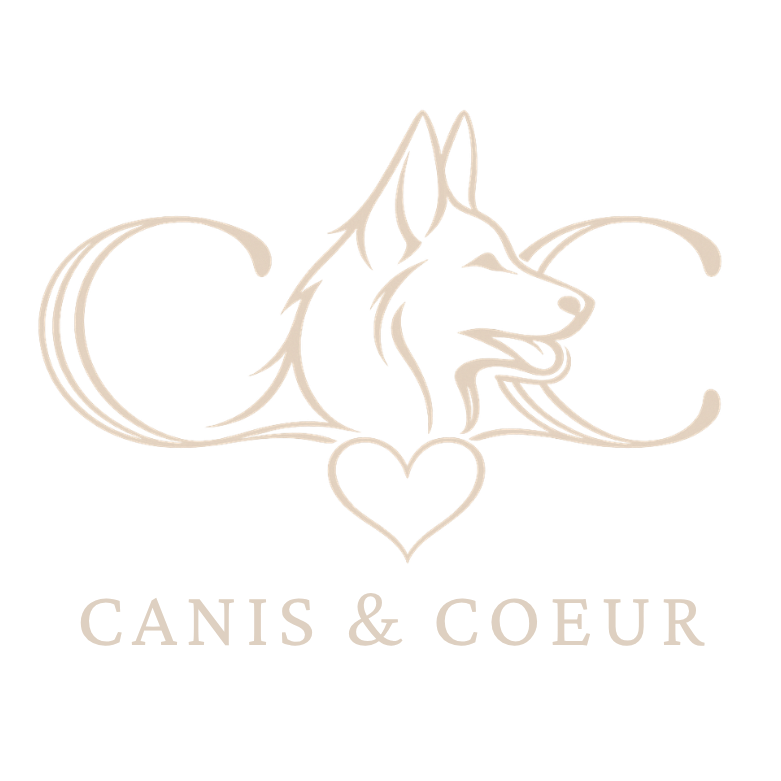 Canis &amp; Coeur - Individuelle Begleitung für Mensch und Hund im Alltag