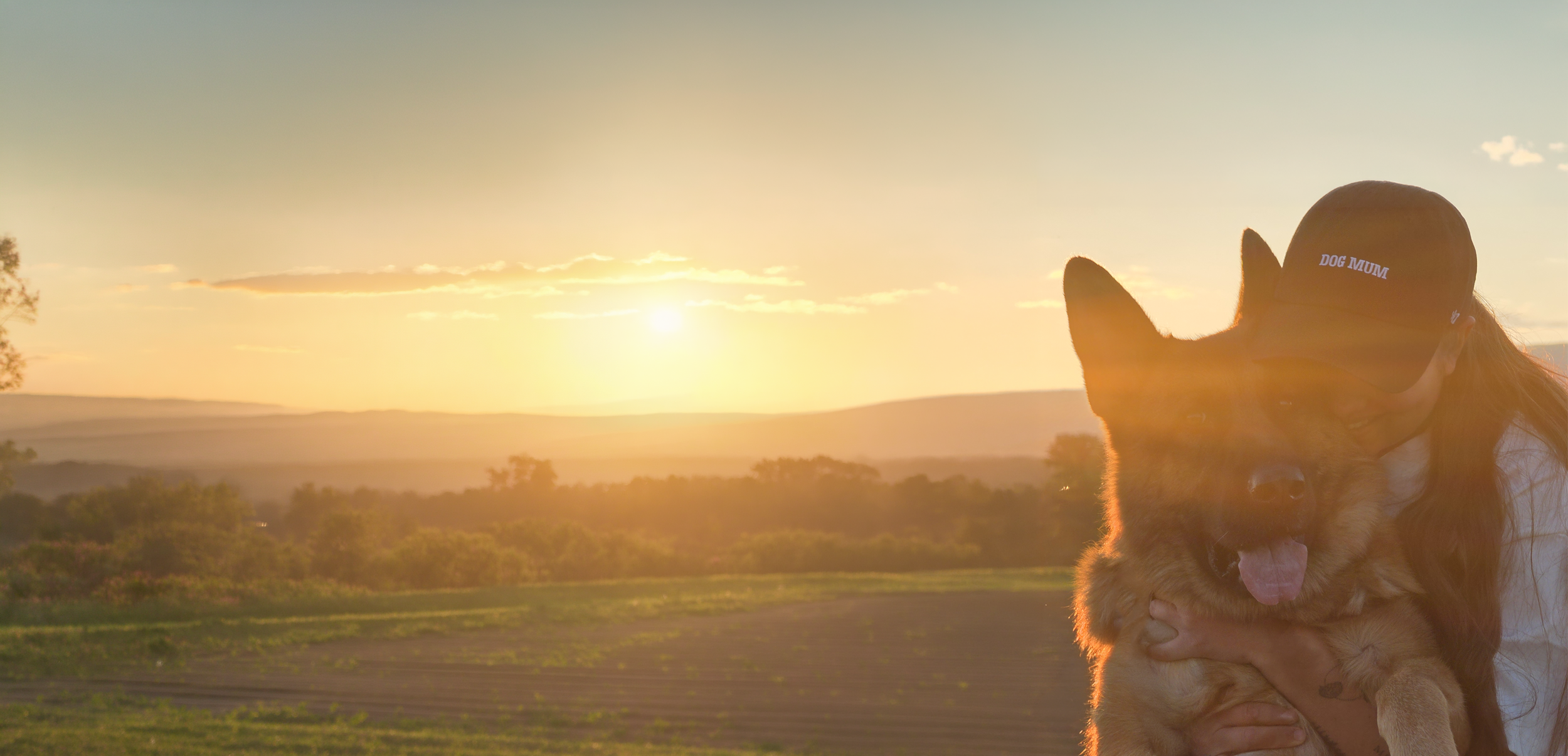 Banner_bearbeitet_test2.png