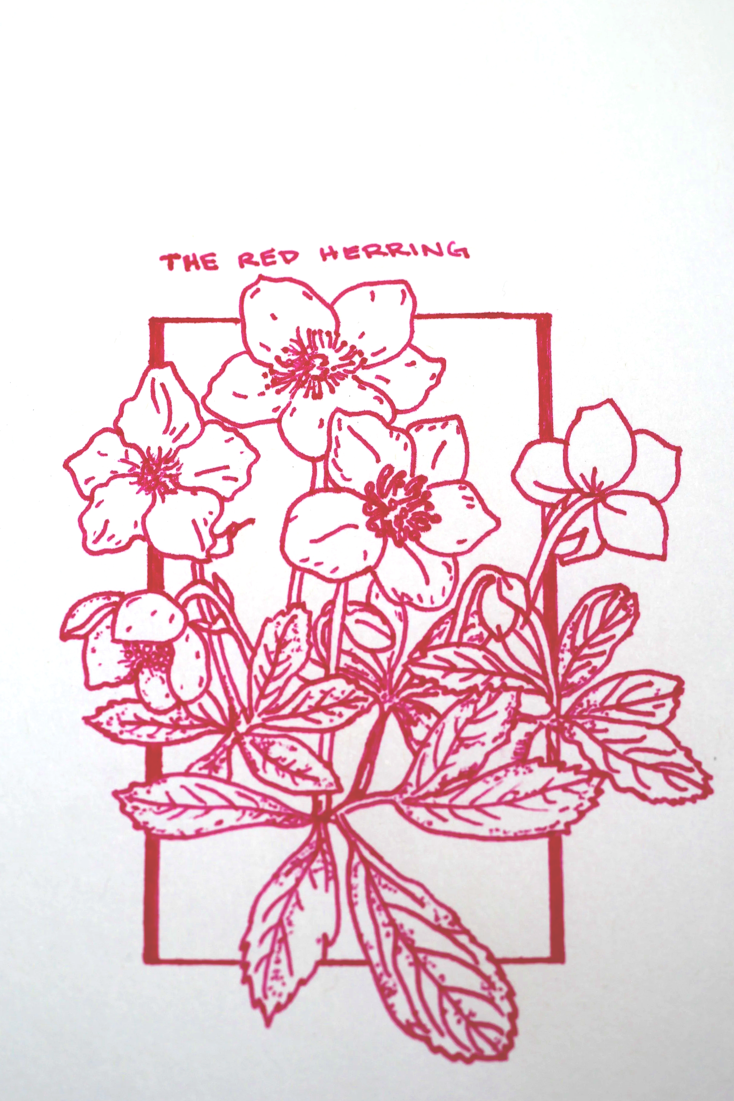 A line drawing of five red flowers with green leaves labeled "The Red Herring".