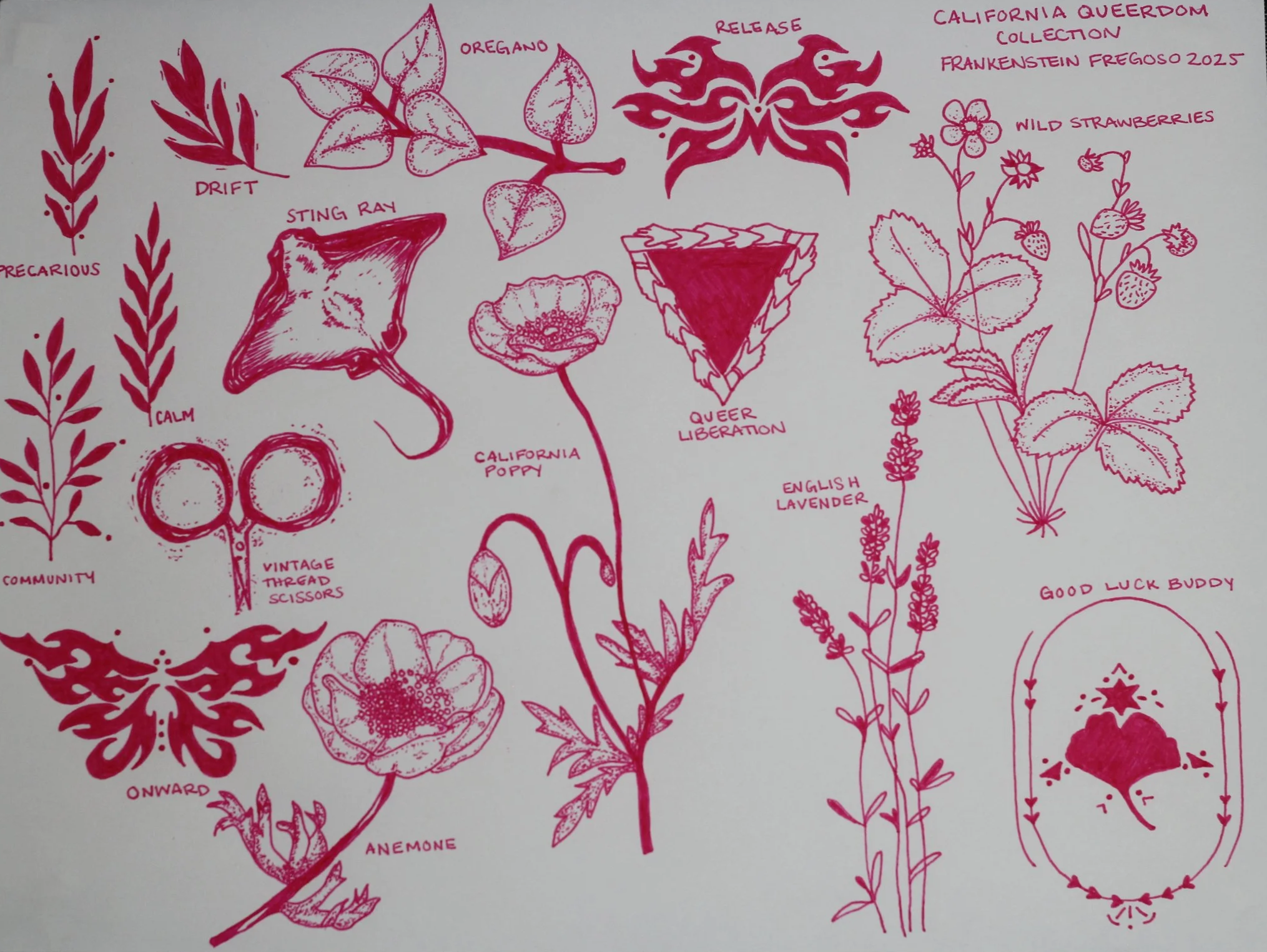 Hand-drawn collection of plants, flowers, and related items with labels. Includes oregano, wild strawberries, California poppy, English lavender, and various artistic designs. Text labels include 'California Queerdom Collection,' 'Frankenstein Fregoso 2023,' and others.