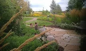 Children playing in a lush garden with a stone pathway, various plants, and trees.