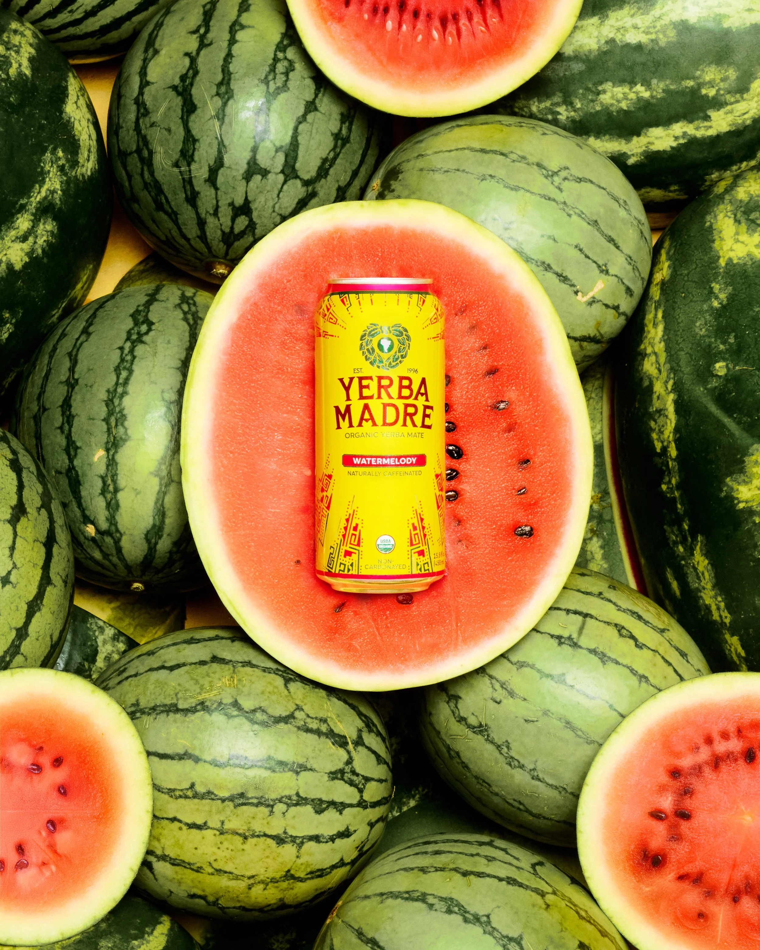 A can of Yerba Madre Watermelon flavored energy drink placed on a halved watermelon surrounded by whole watermelons.