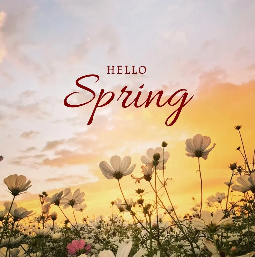 Hey! Spring specials are here!🌸🌼Get ready for spring with: 

Mini pedi (gel polish) $40
Mini mani &amp; pedi (gel polish) $80
Full body spray tan $35
1/2 arm &amp; 1/2 leg wax $65
Full arm and leg wax $80
Hybrid brow stain dye &amp; wax $50. 

Thes