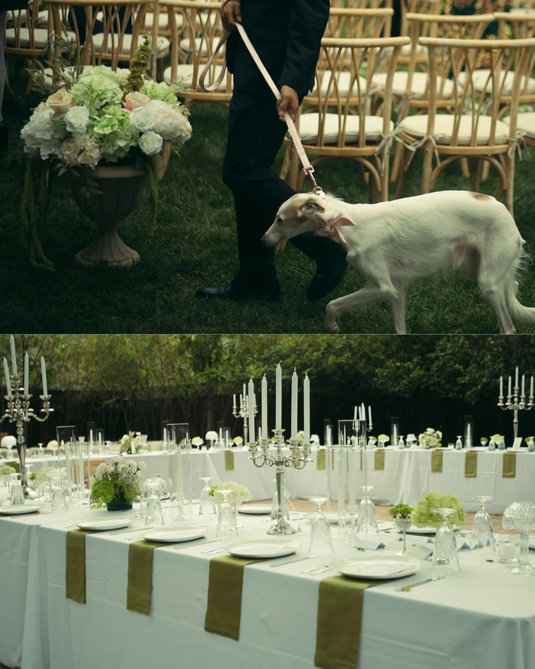 Step into a Bridgerton-esque wonderland at Sage &amp; Byron's enchanting April wedding 🕯️🥂🌸

Wisteria-draped ceremonies, stunning candlelit receptions, and distinguished furry friends - this wedding is the epitome of romance novel charm &hearts;️
