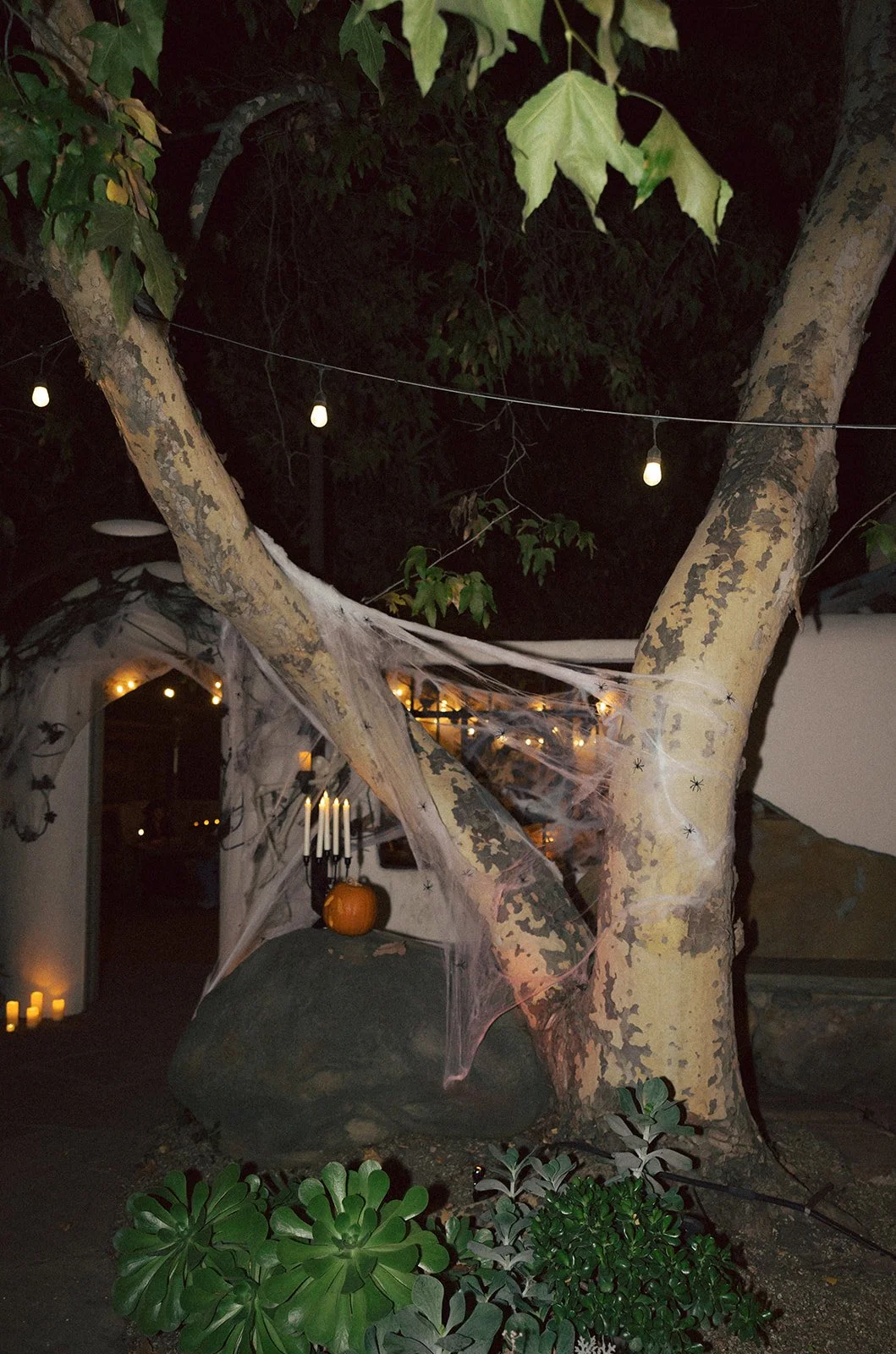 welcome-party-6418_websize.jpg