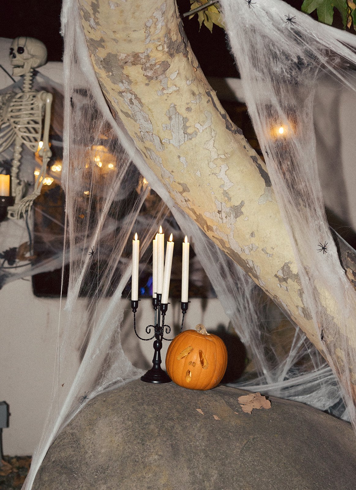 welcome-party-6421_websize.jpg