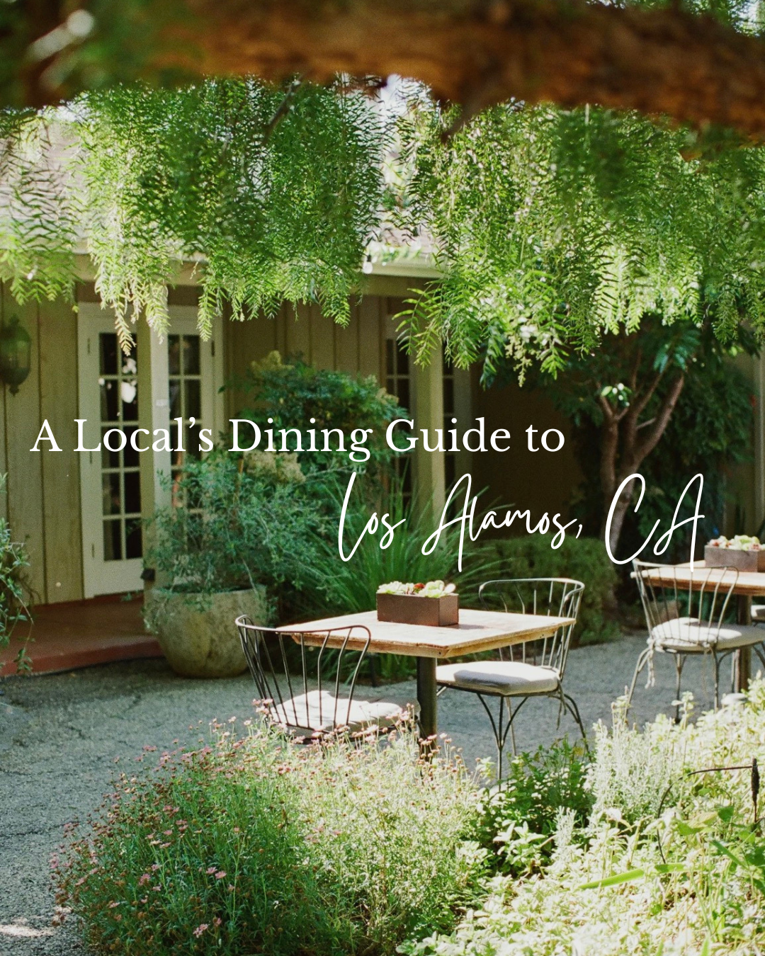 A Local’s Guide to Dining in Los Alamos, CA