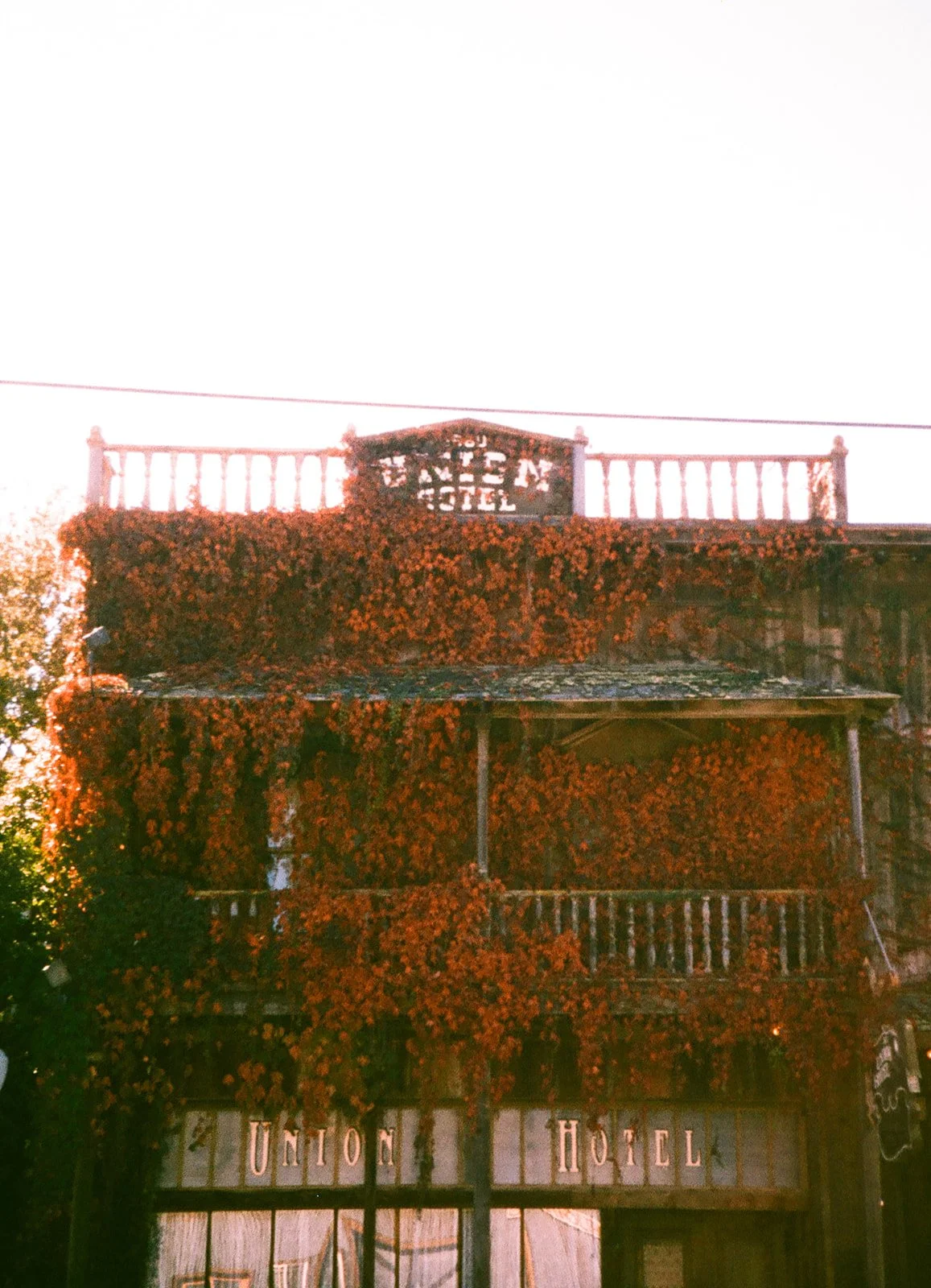 film-868857010008.jpg