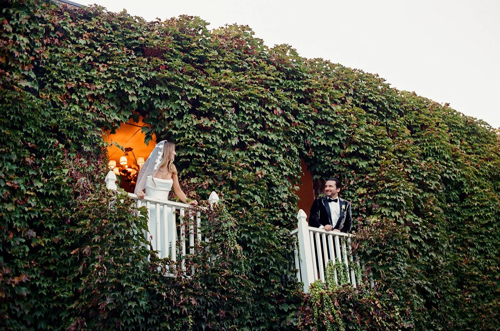 An Ivy Guide