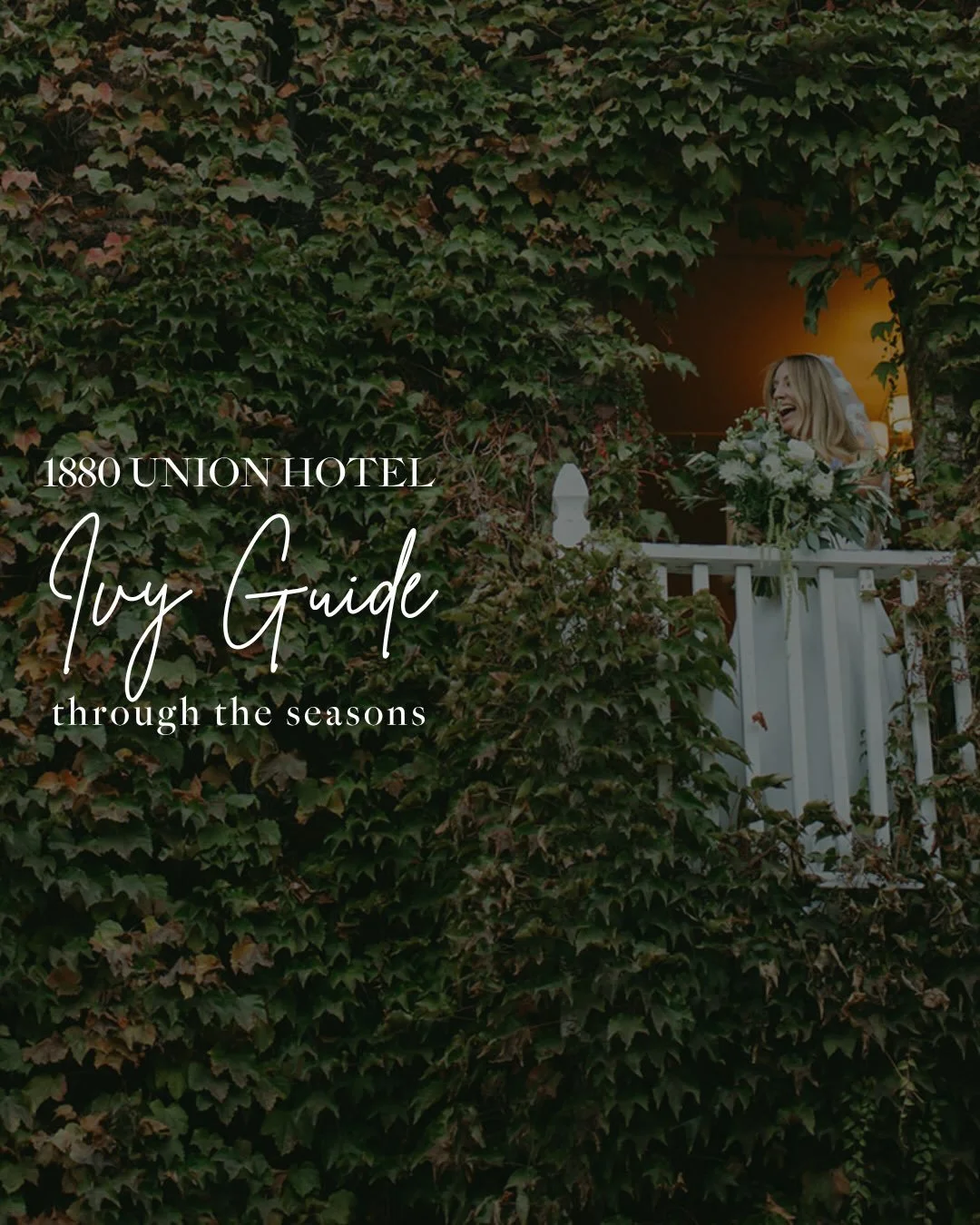 &ldquo;What will the ivy look like on our wedding day?&rdquo; 🌿

It&rsquo;s one of the questions we hear most, and the answer depends on when you say yes to your date. The ivy on our 1880 building changes all year, from fresh spring green to deep su