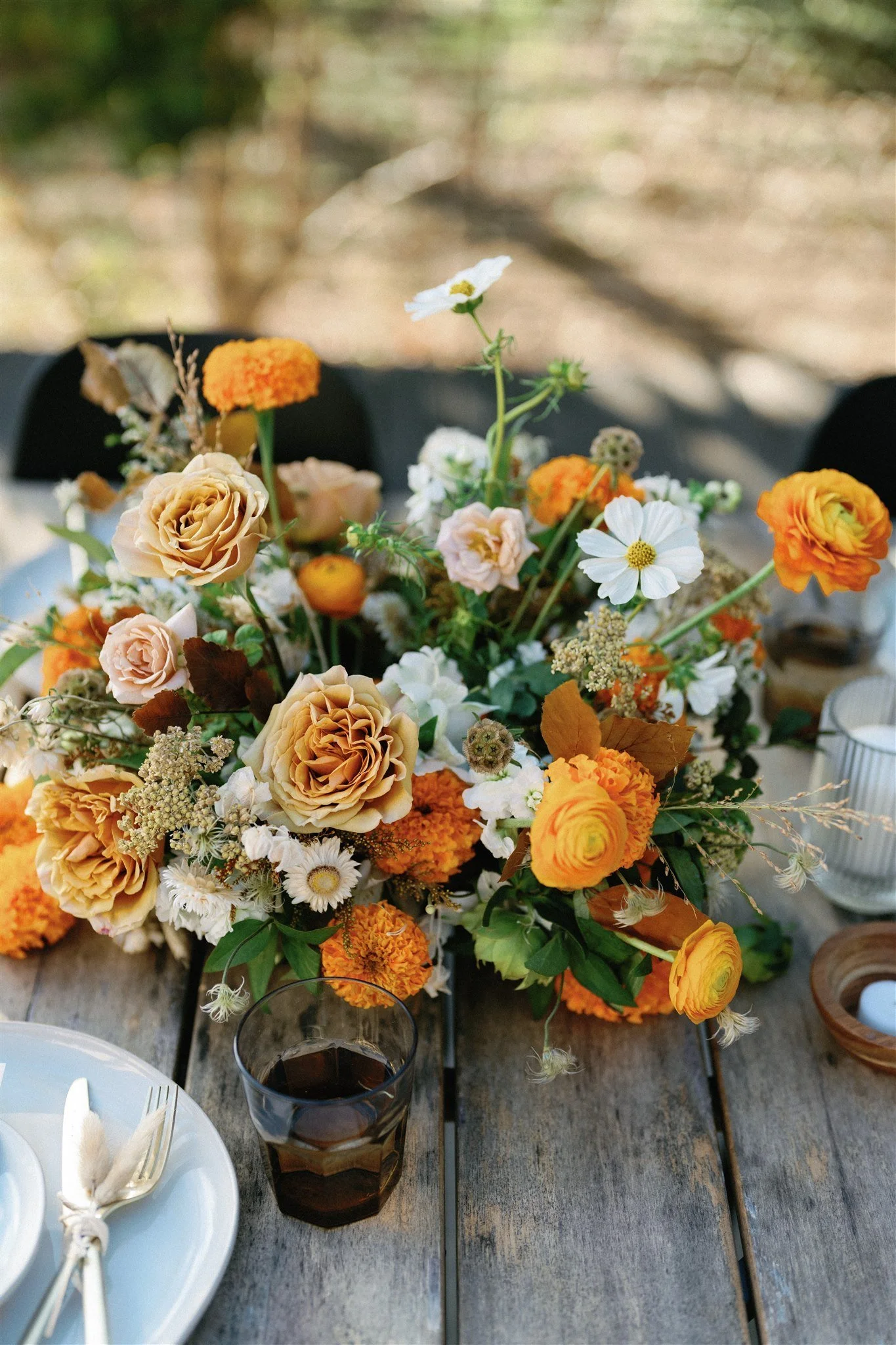 Fall Shoot at Cactus Moon