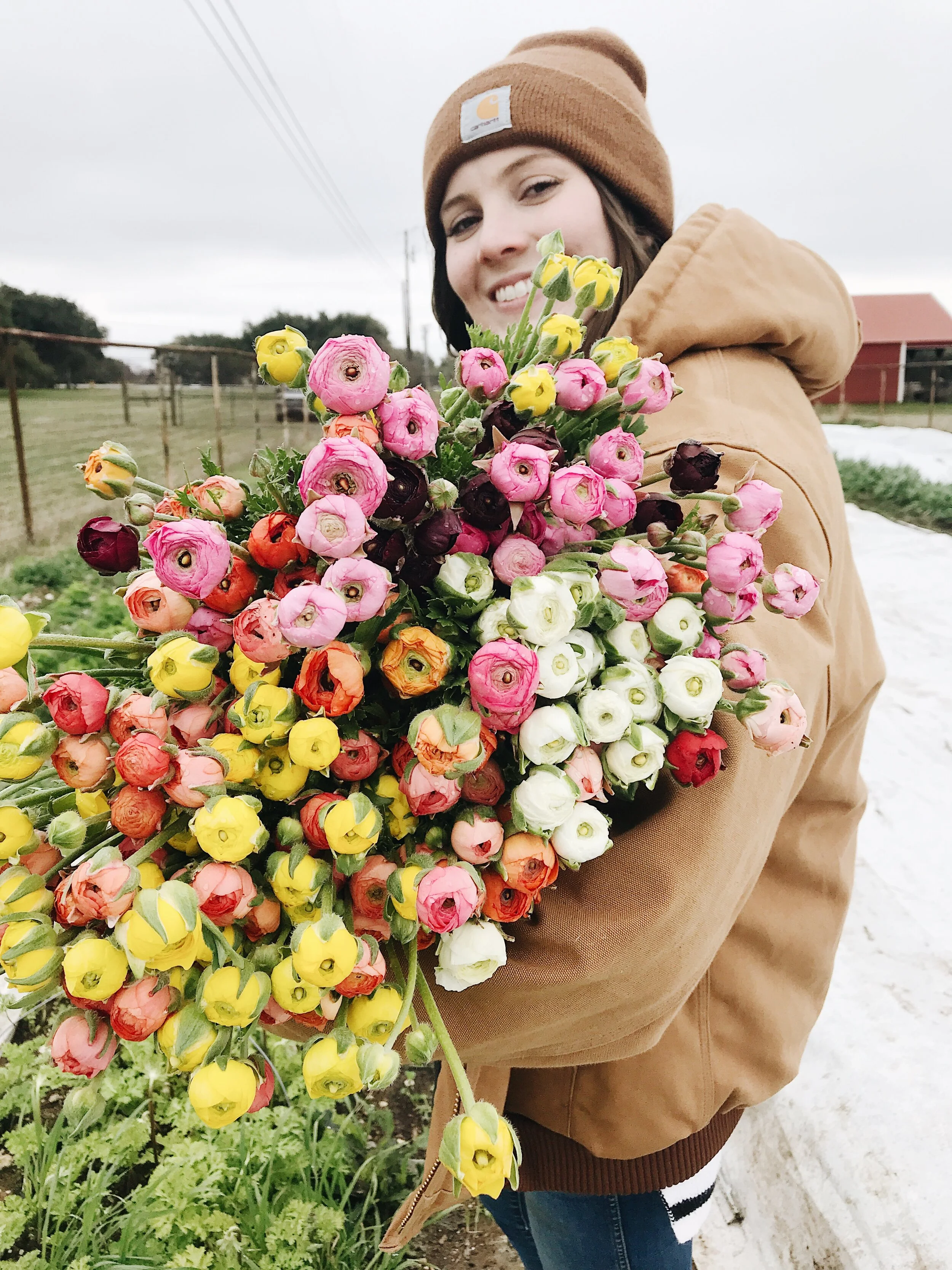 A Farewell to Ranunculus Season