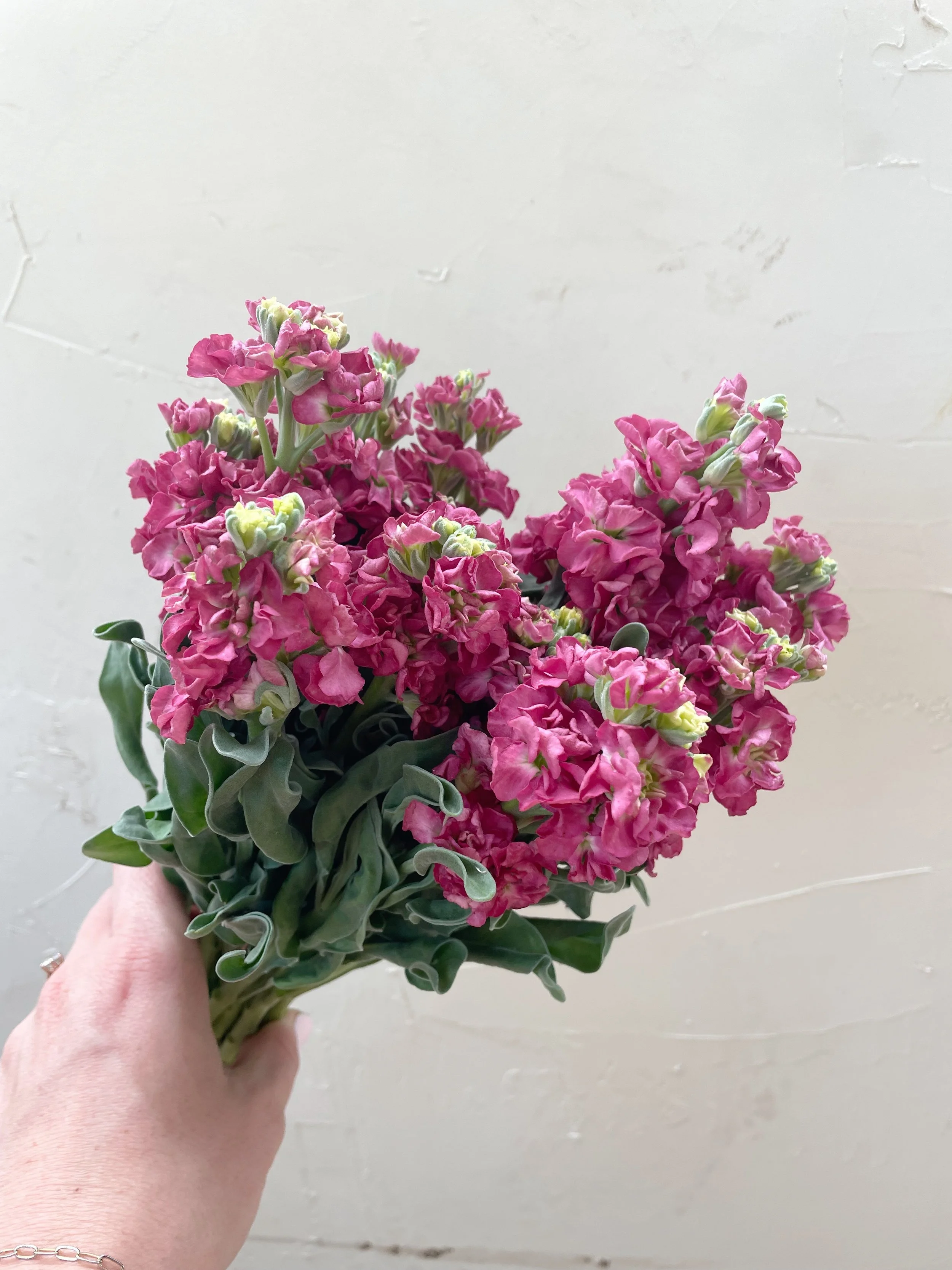 IMG_7301.jpeg