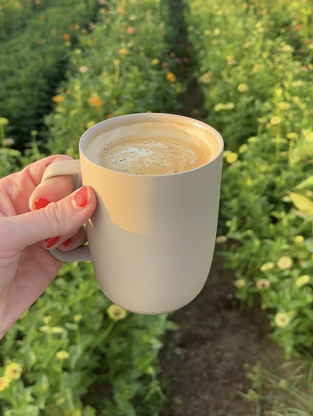 Screenshot 2025-12-30 at 10.56.38 AM.png