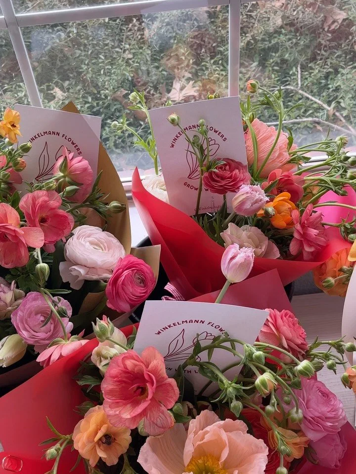 Valentine&rsquo;s week on our flower farm🌷💕🫶🏻💌&hearts;️🌸✨💐☕️ Colorful, cute, chaotic &amp; full of loooove!!

@winkelmannflowers 🫶🏻🫶🏻🫶🏻