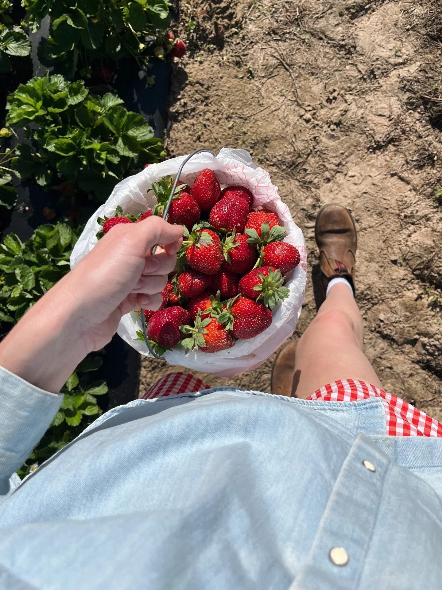April highlights hallelujah!!
🍓🍰🐣🌸🍕🫧🌧️