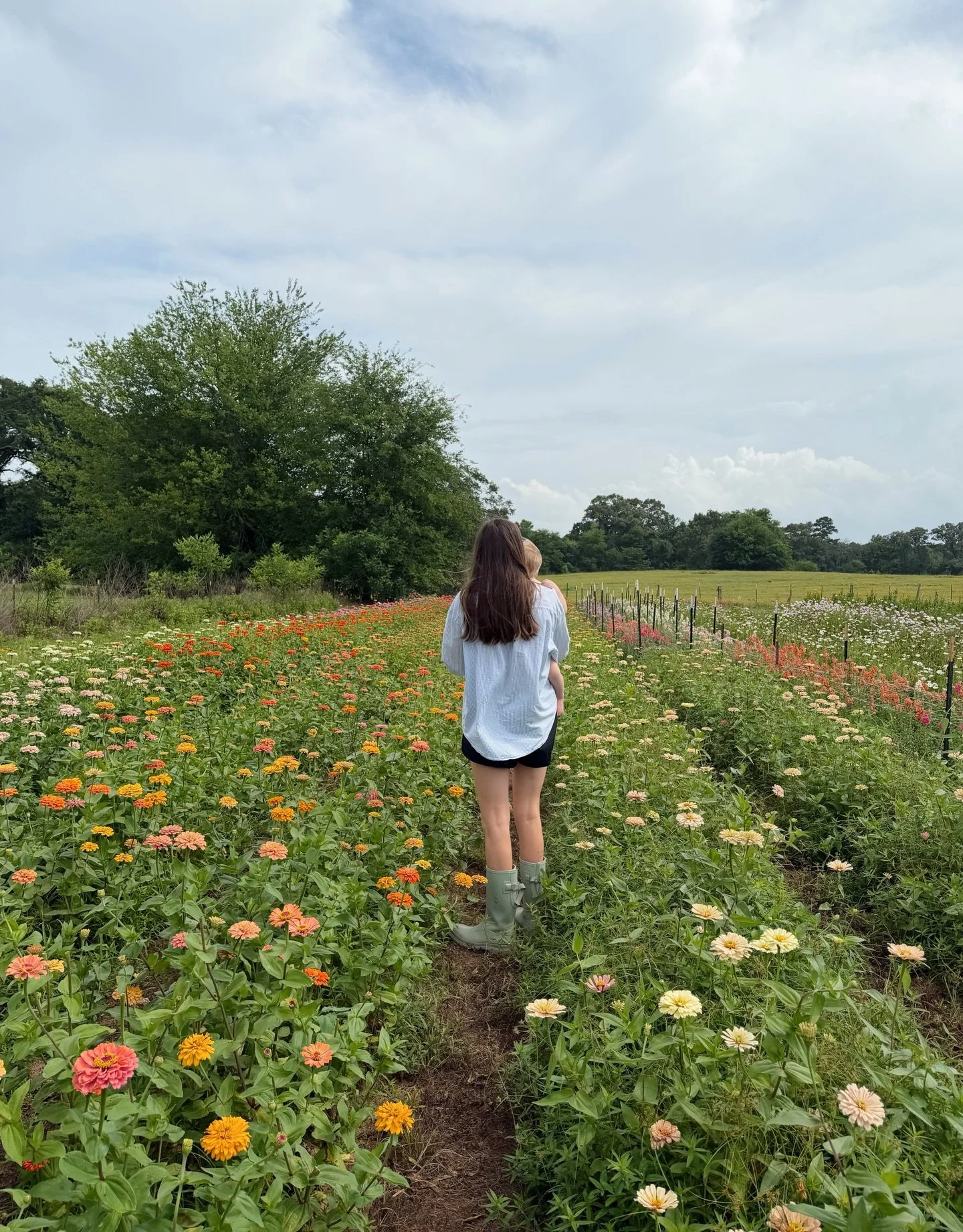 Proof of life lately🤪🌸💃🌱🫛🥕🤠