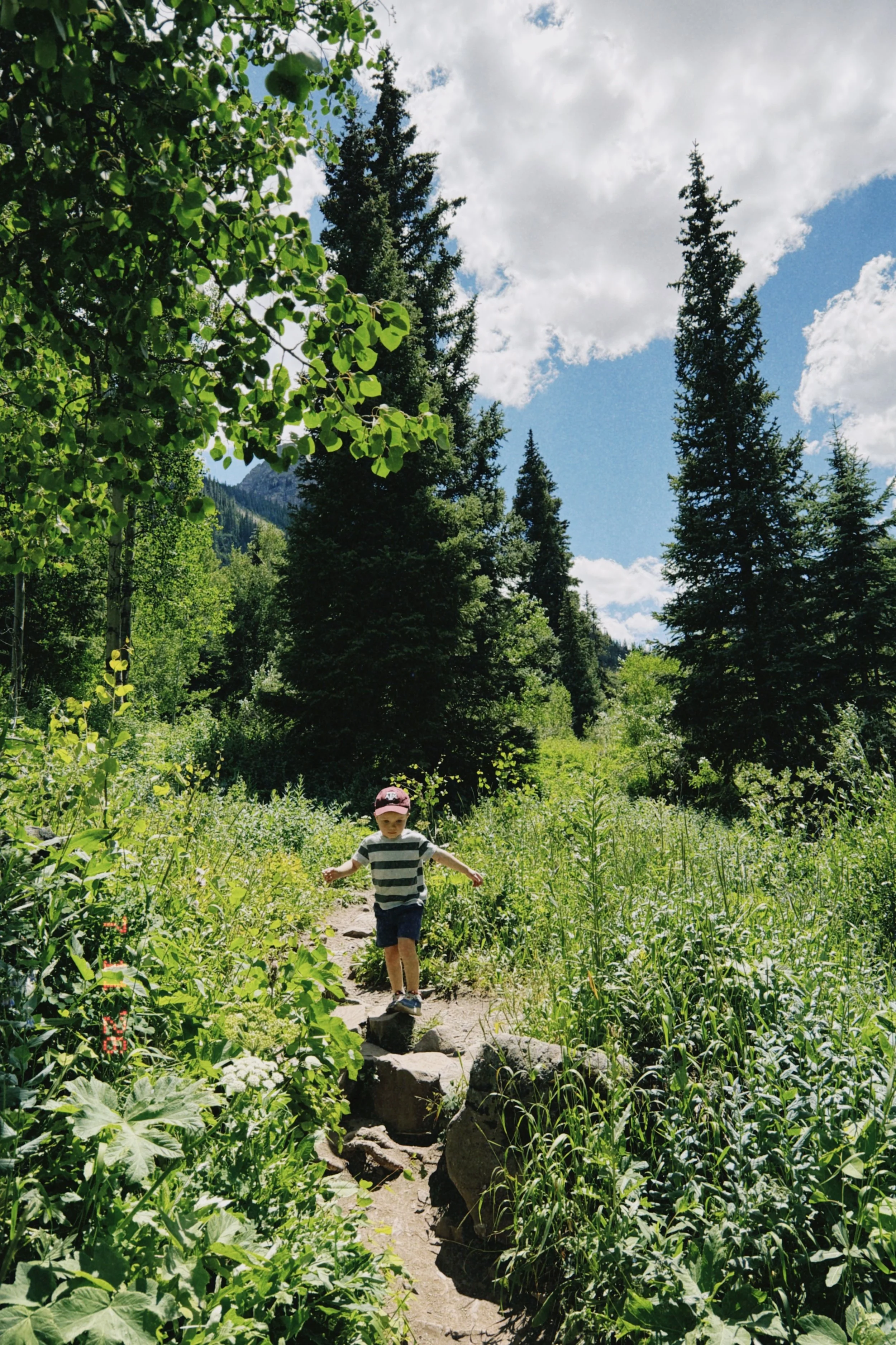 aspen-snowmass-family-hiking-maroon-bellsdclassic 2026-07-13 092826597EBEA6CE8C.jpg