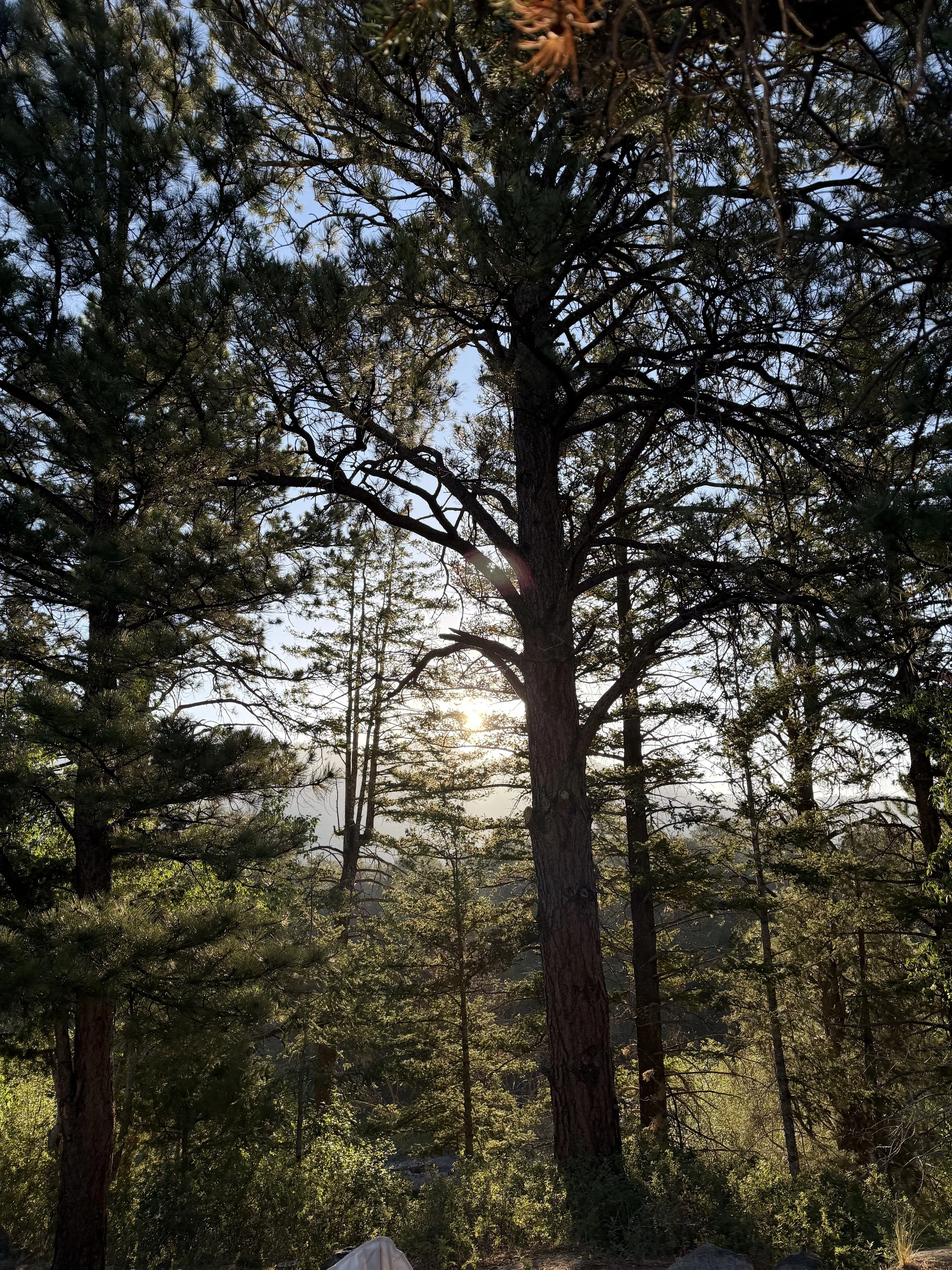 IMG_1907.jpeg