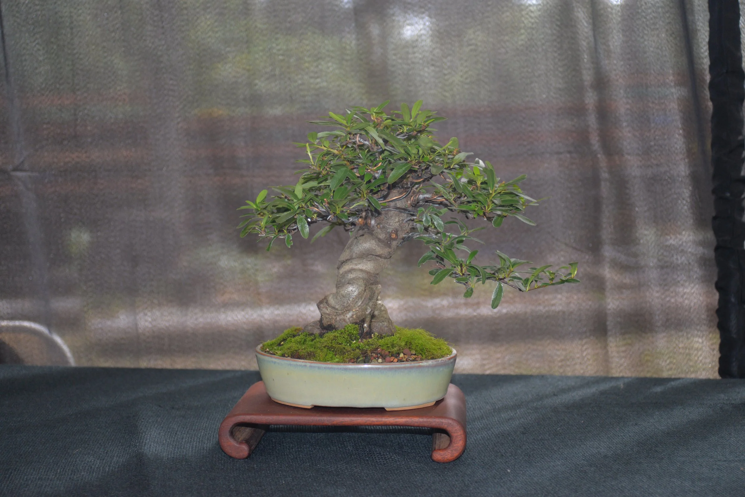 DSC_1028.JPG