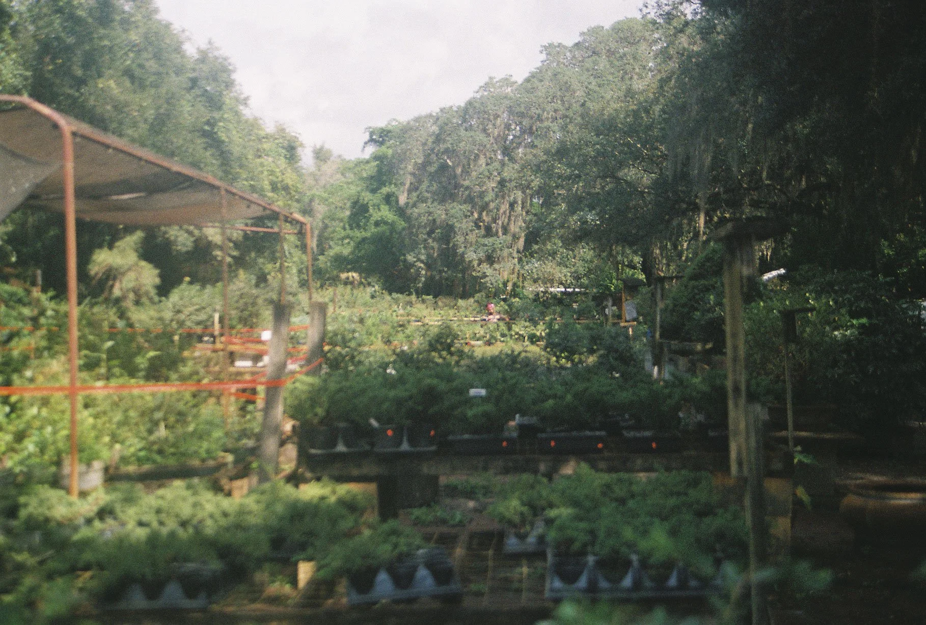 Fuji 400-024.jpg