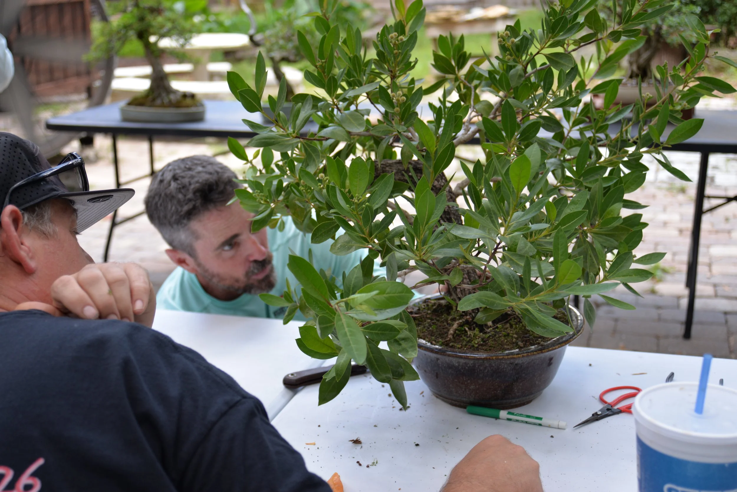 DSC_0708.JPG