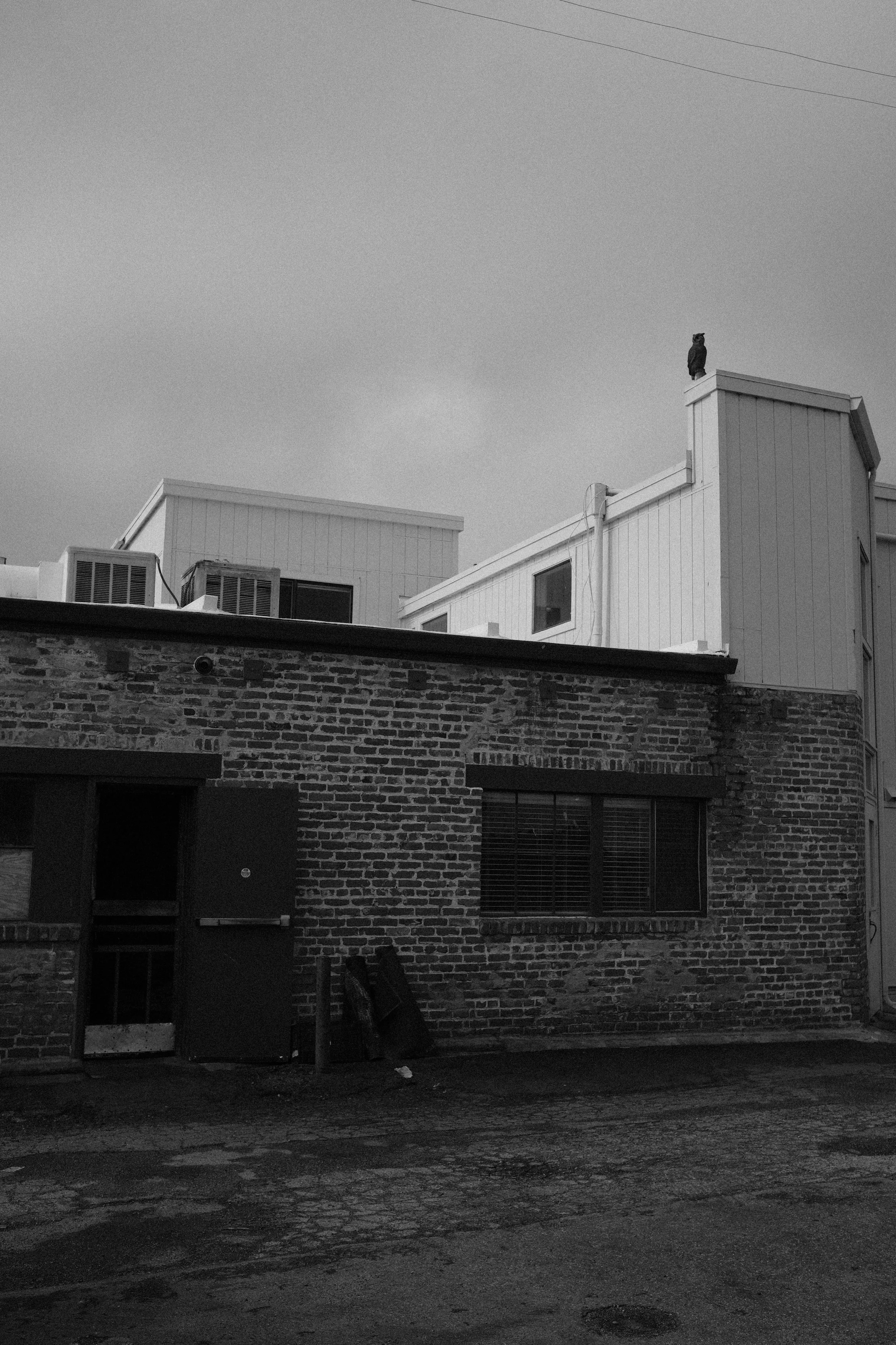 DSCF9017.JPG